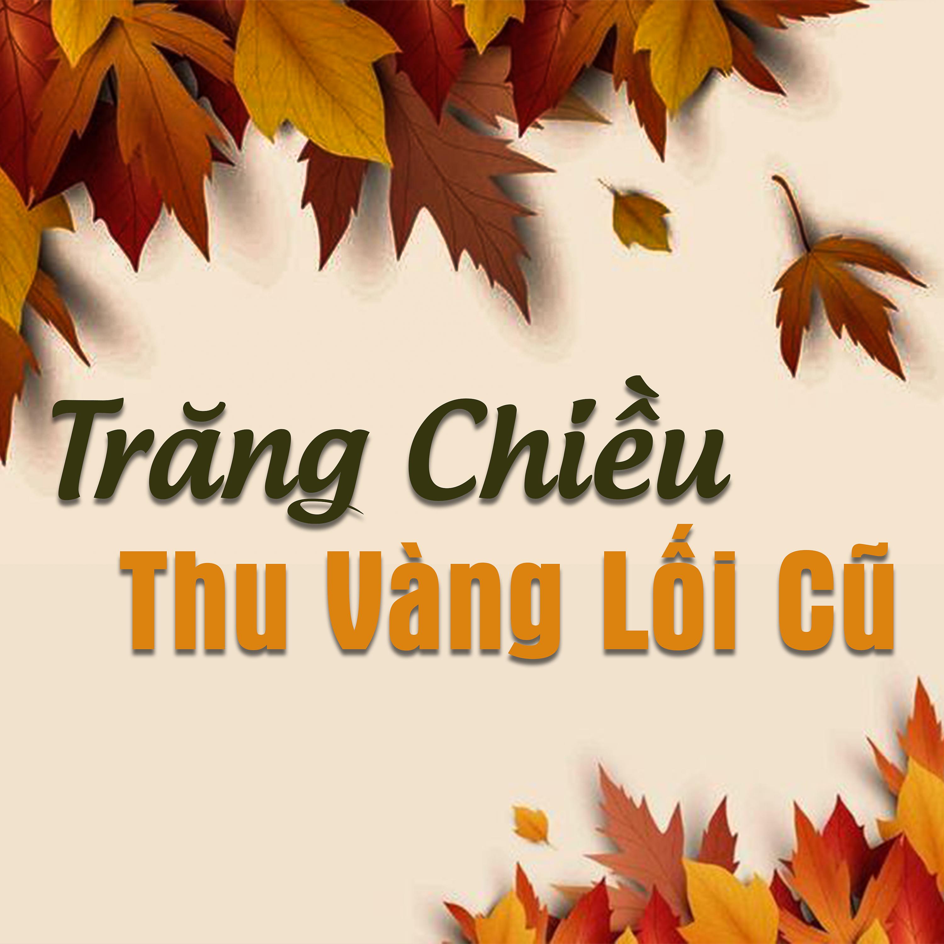 Постер альбома Chiều Trăng Thu Vàng Lối Cũ