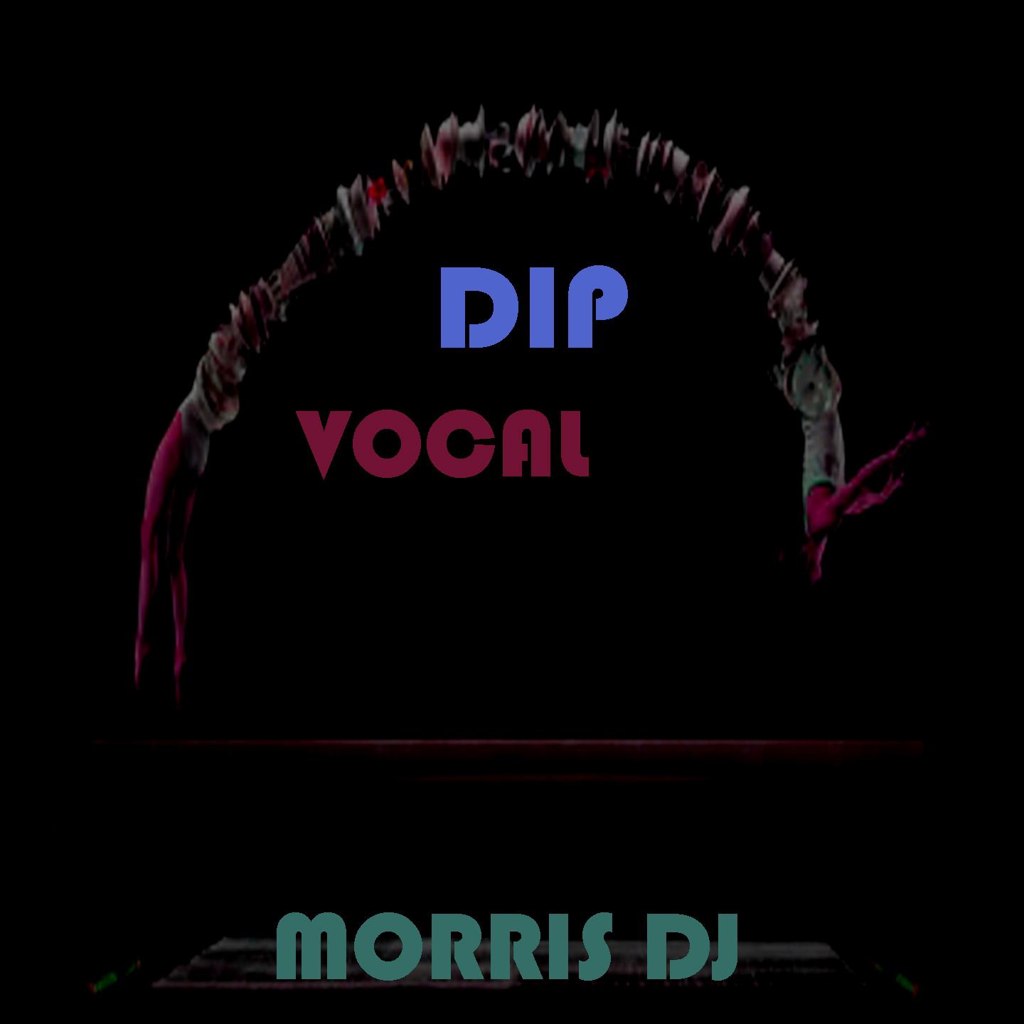 Постер альбома Dip Vocal