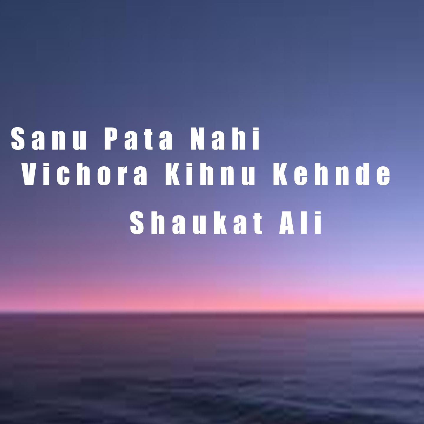 Постер альбома Sanu Pata Nahi Vichora Kihnu Kehnde