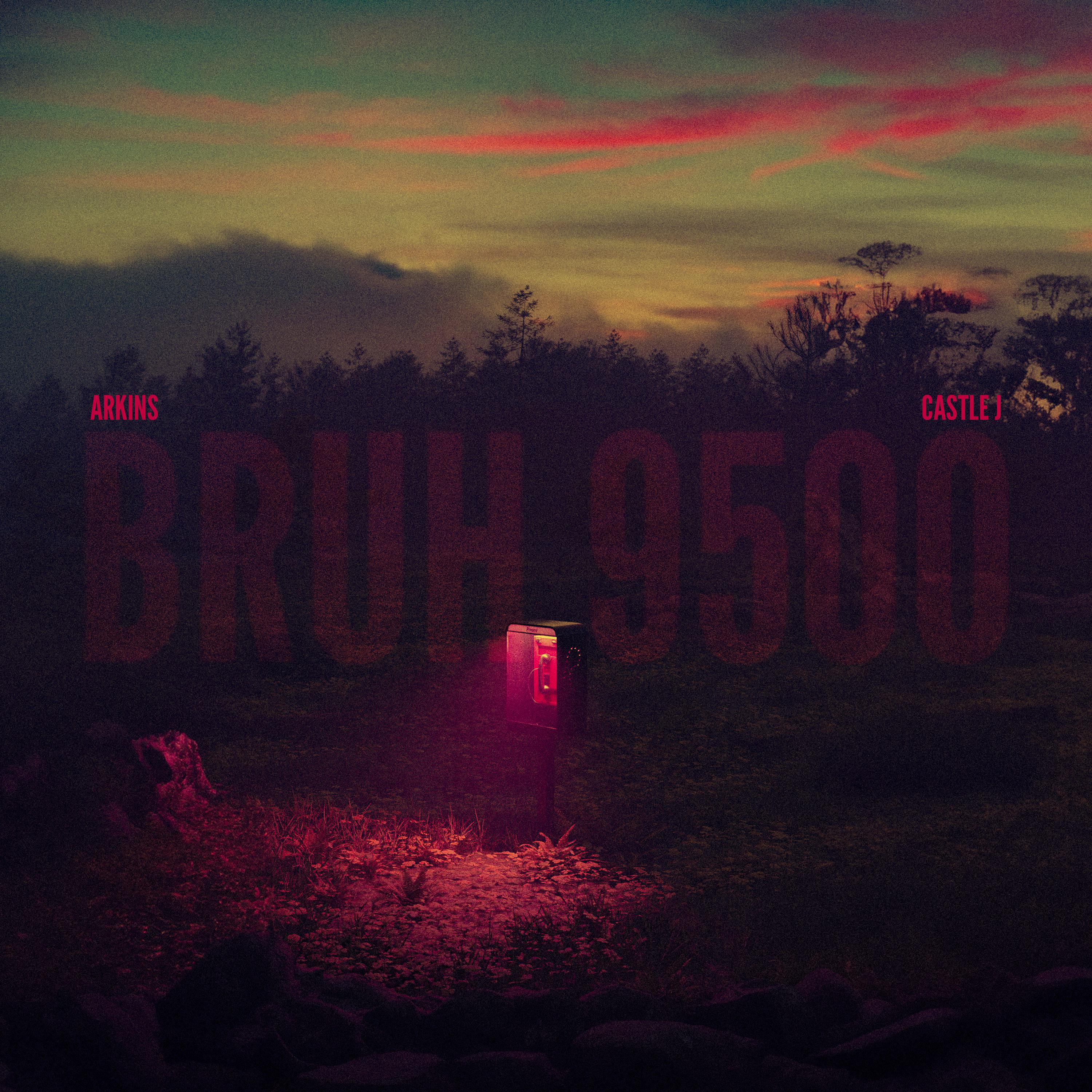 Постер альбома Bruh 9500