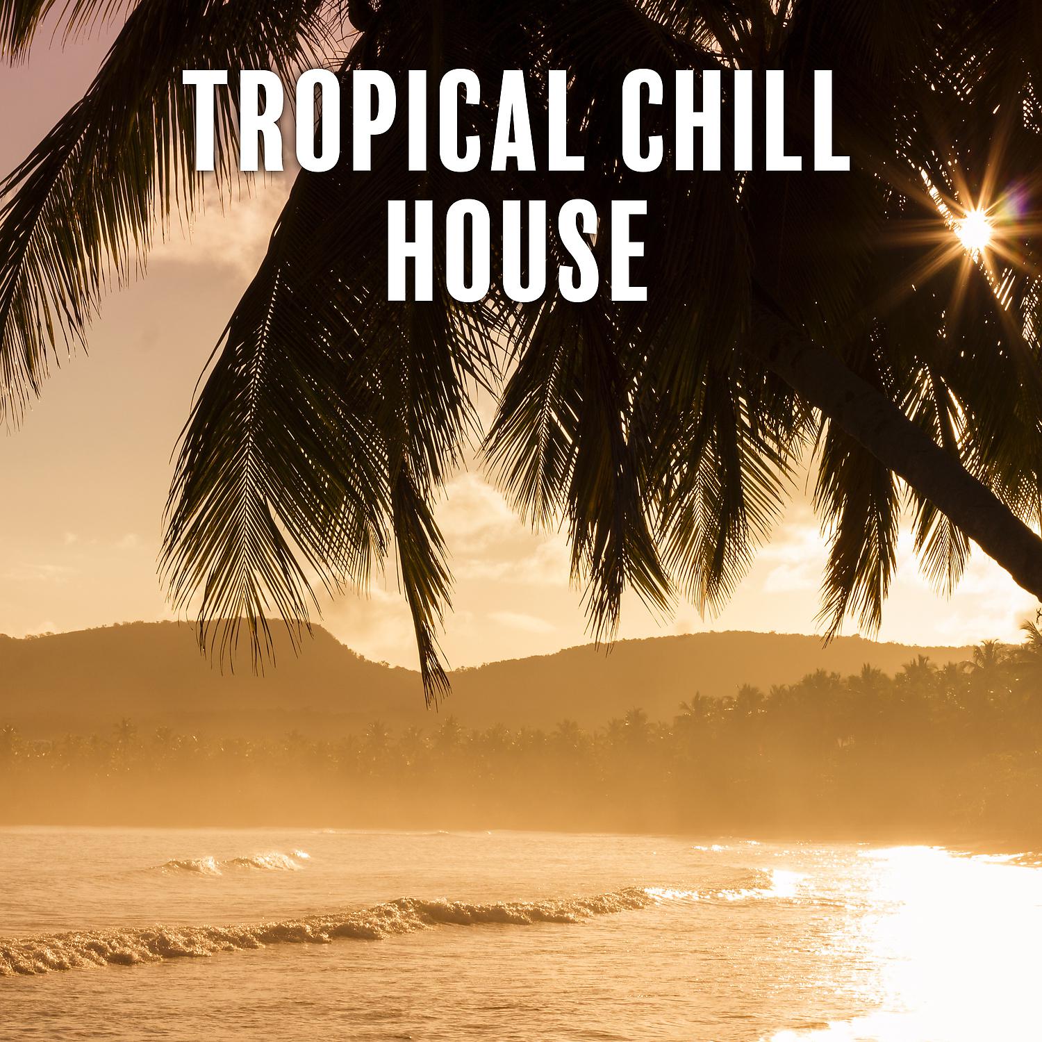 Постер альбома Tropical Chill House