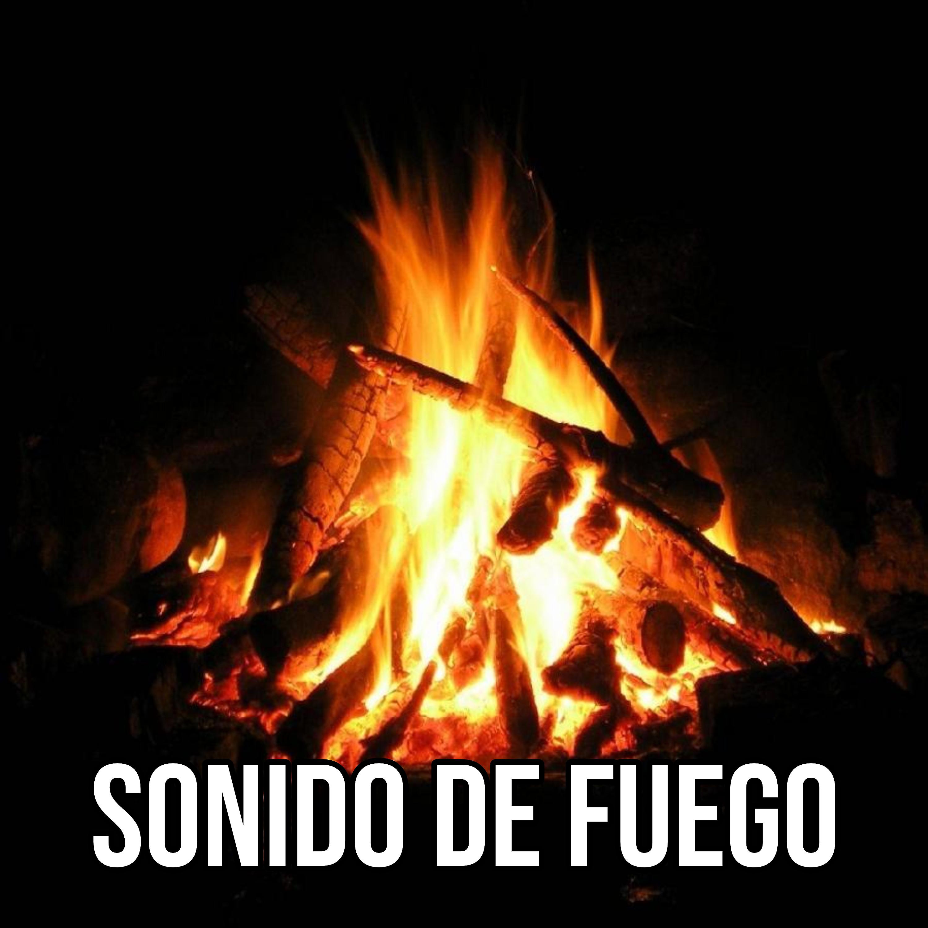 Постер альбома Sonidos de Fuego