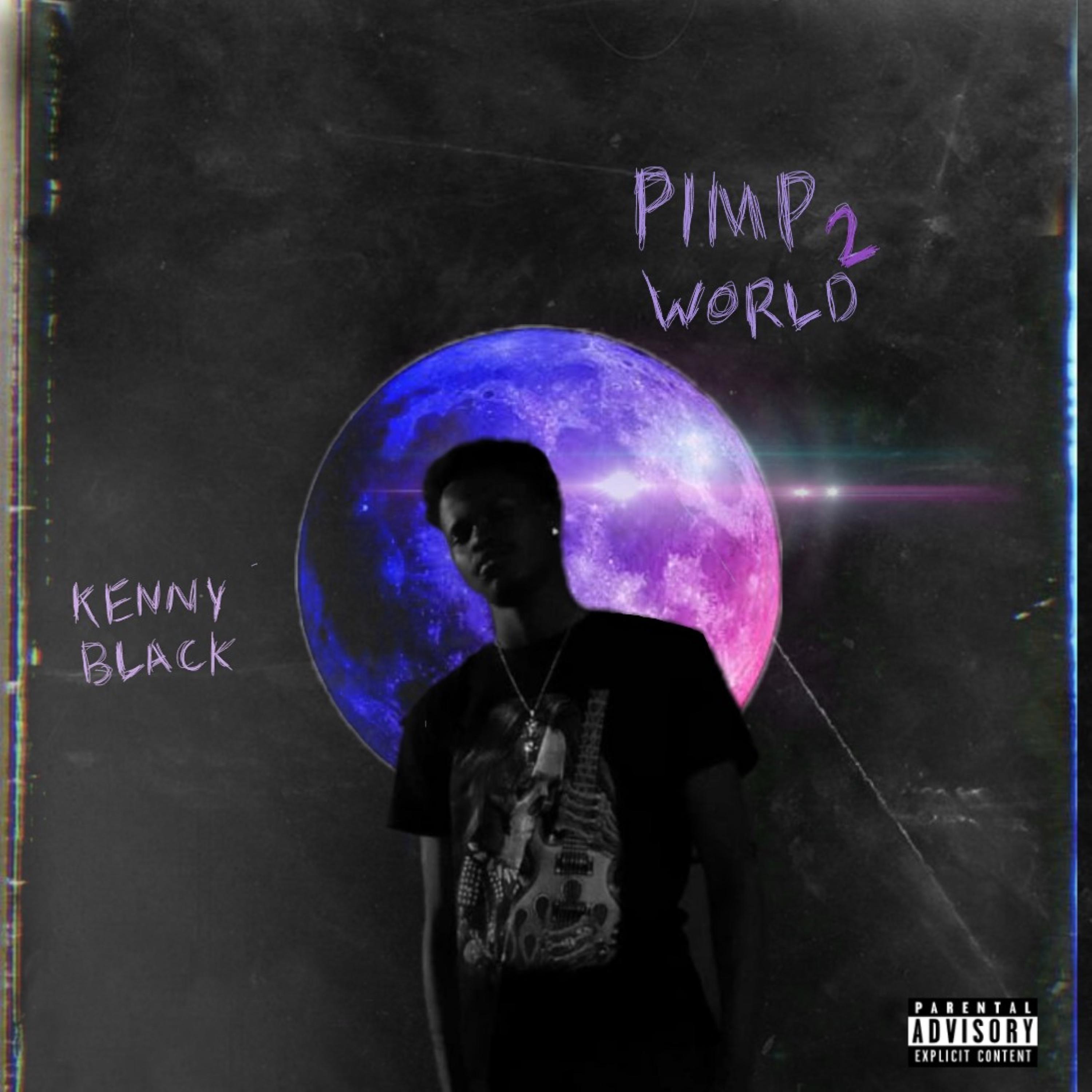 Постер альбома Pimp World 2