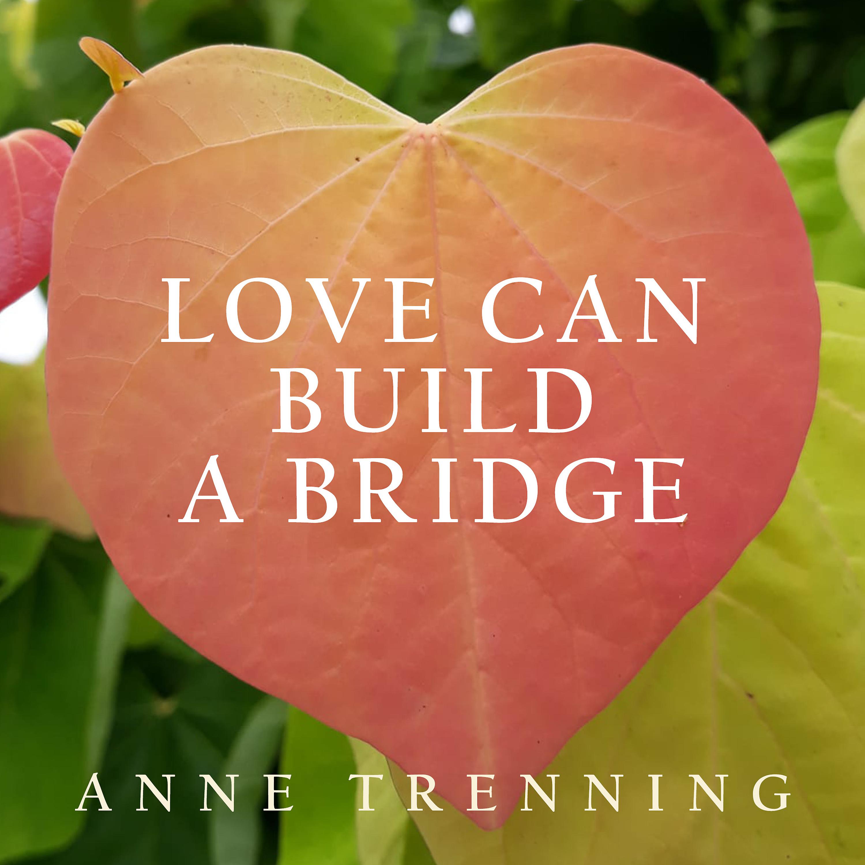 Постер альбома Love Can Build a Bridge