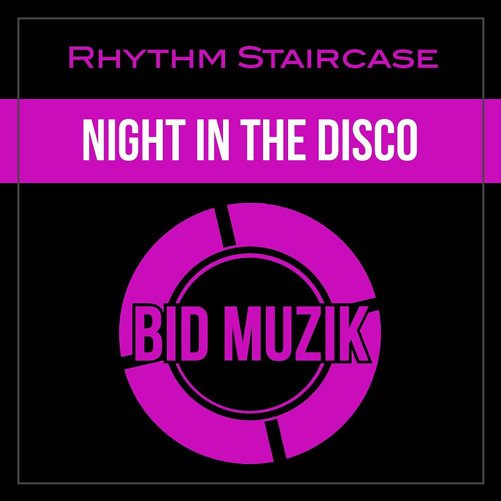 Постер альбома Night in the Disco (Original Mix)
