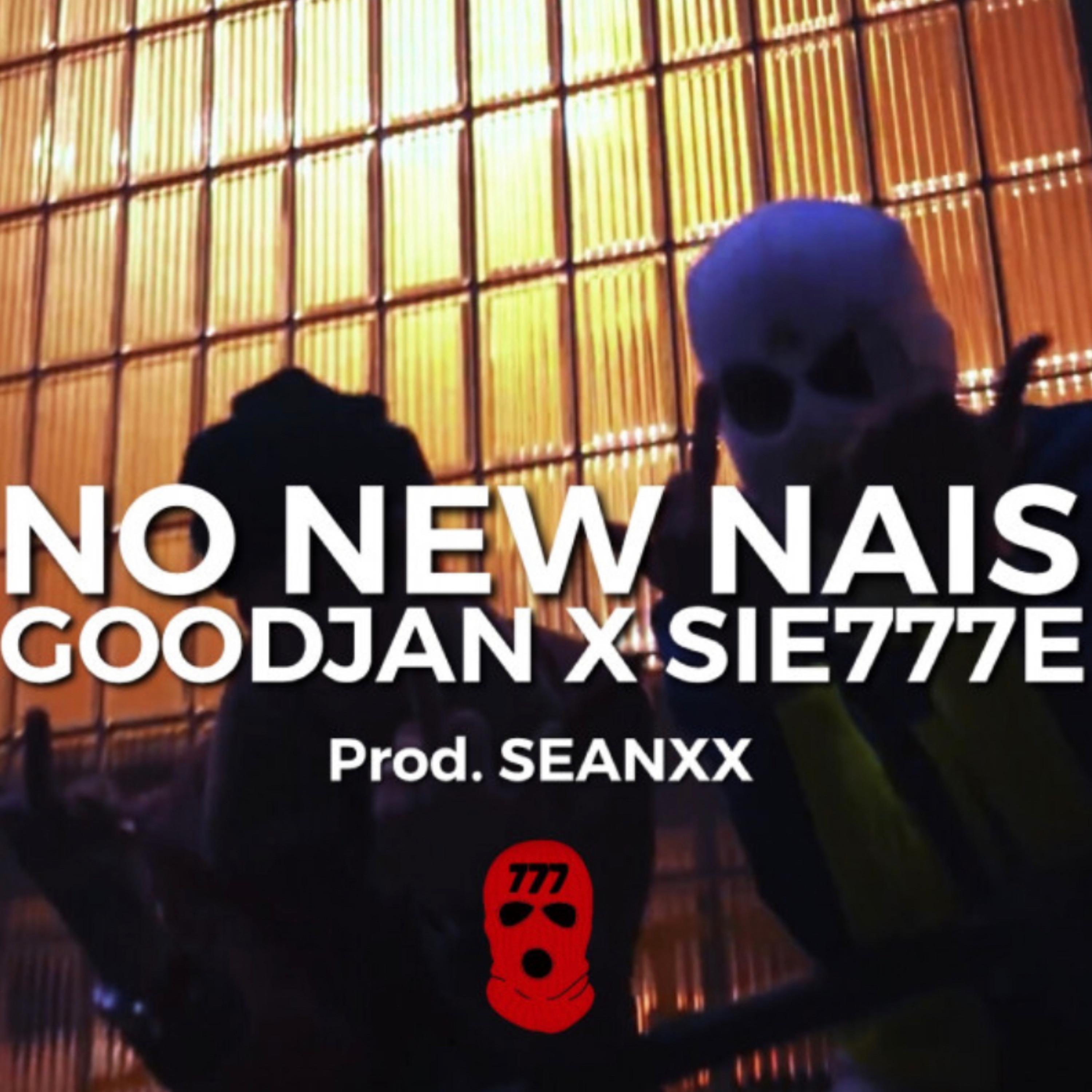 Постер альбома No New Nais