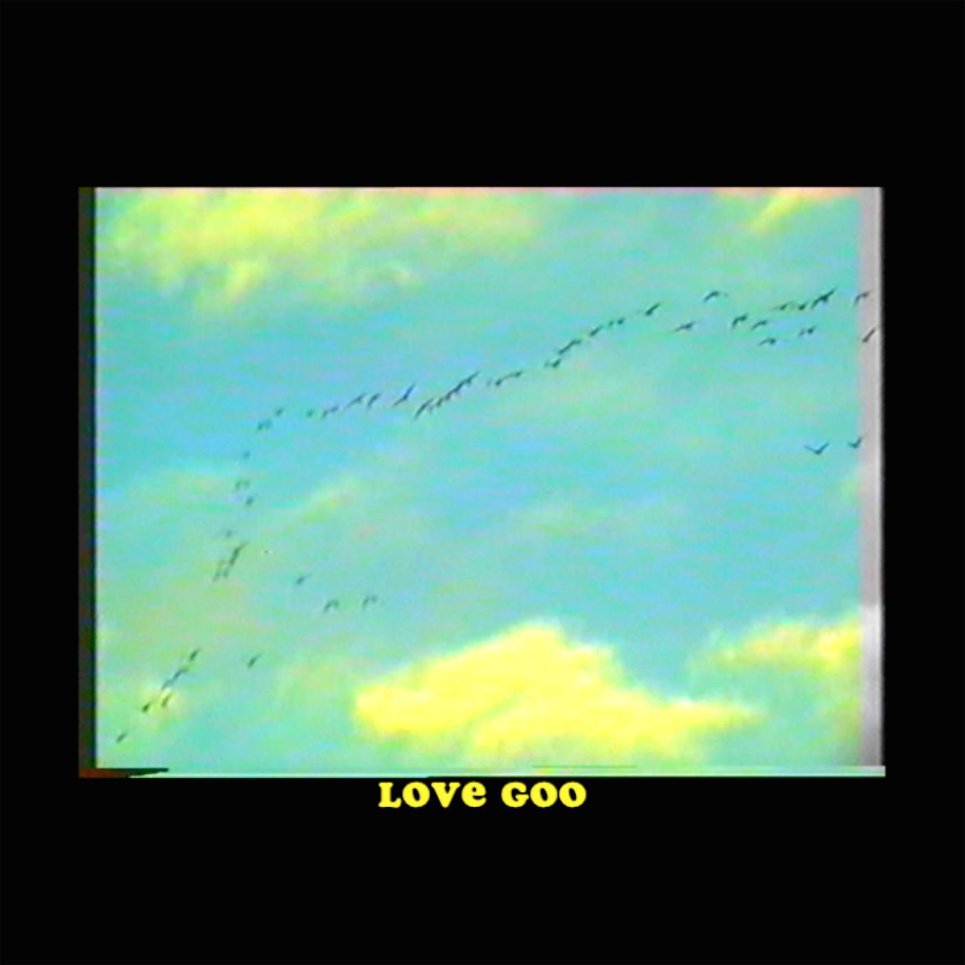 Постер альбома Love Goo