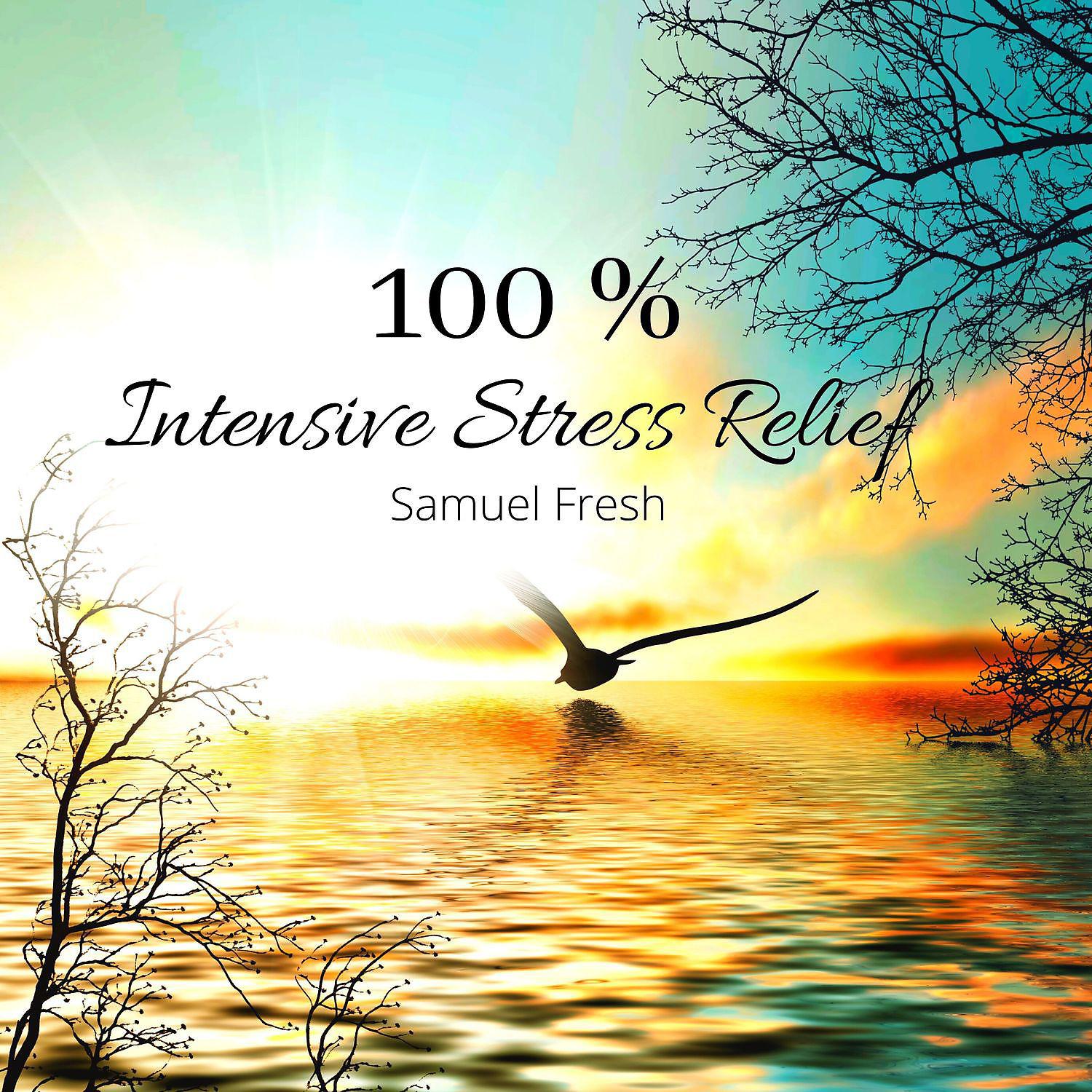 Постер альбома 100 % Intensive Stress Relief