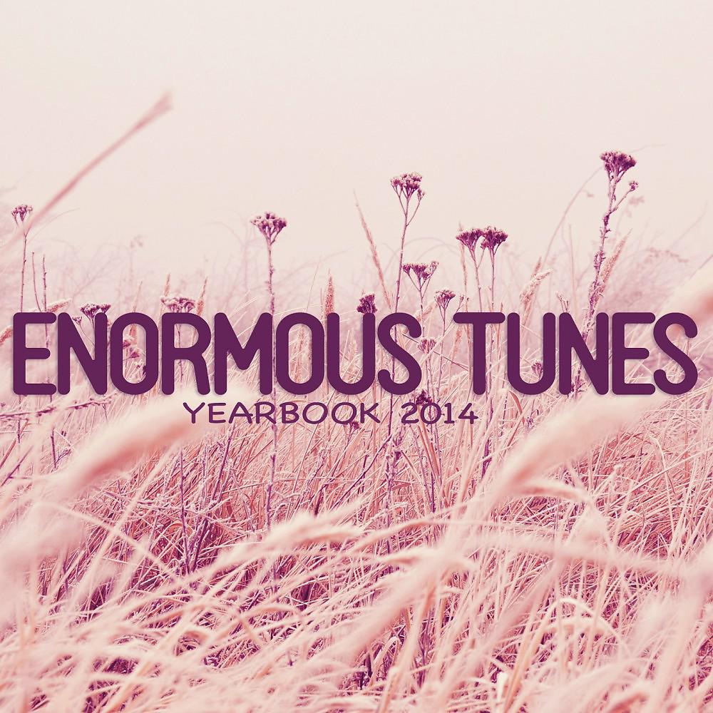 Постер альбома Enormous Tunes - Yearbook 2014