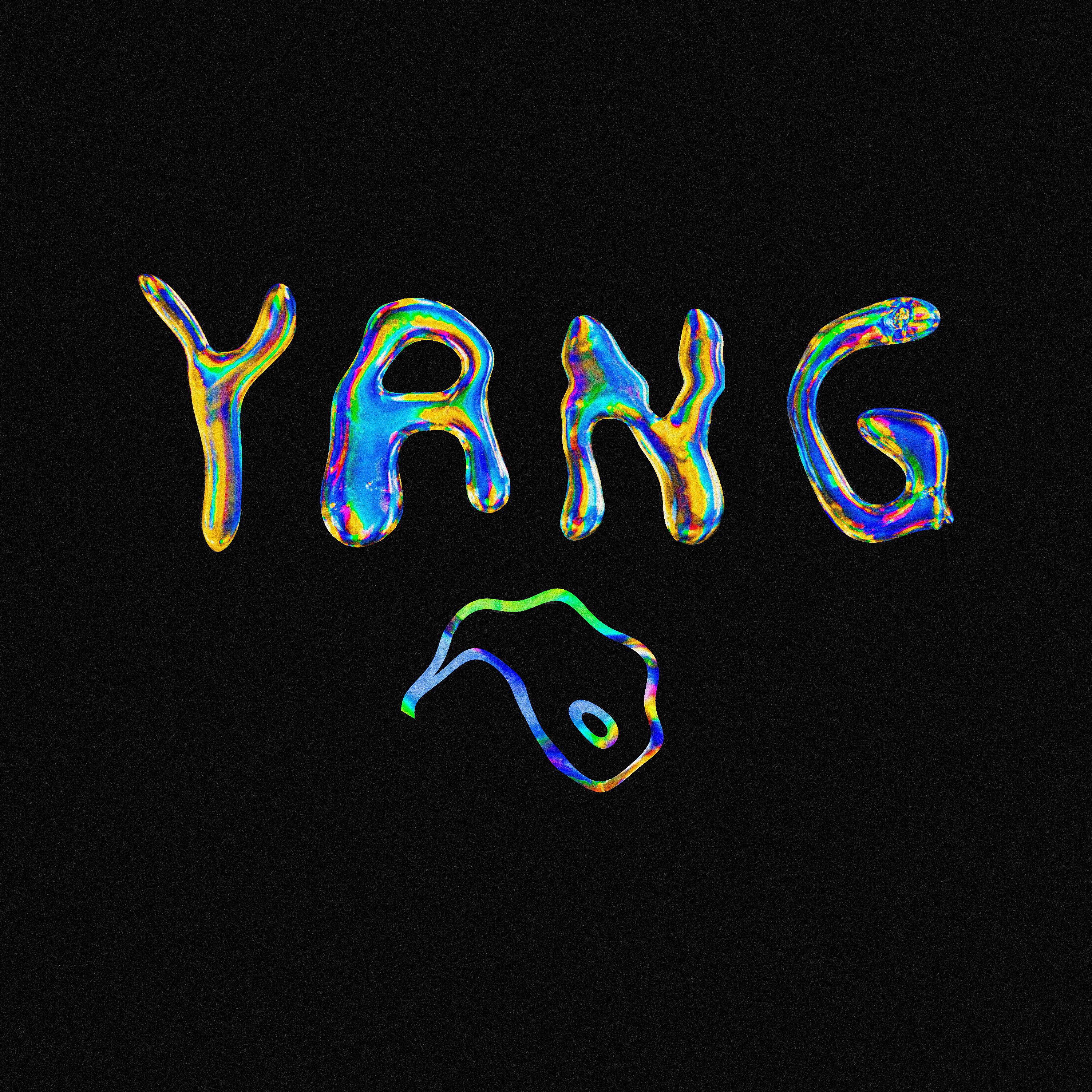 Постер альбома Yang (Remix)