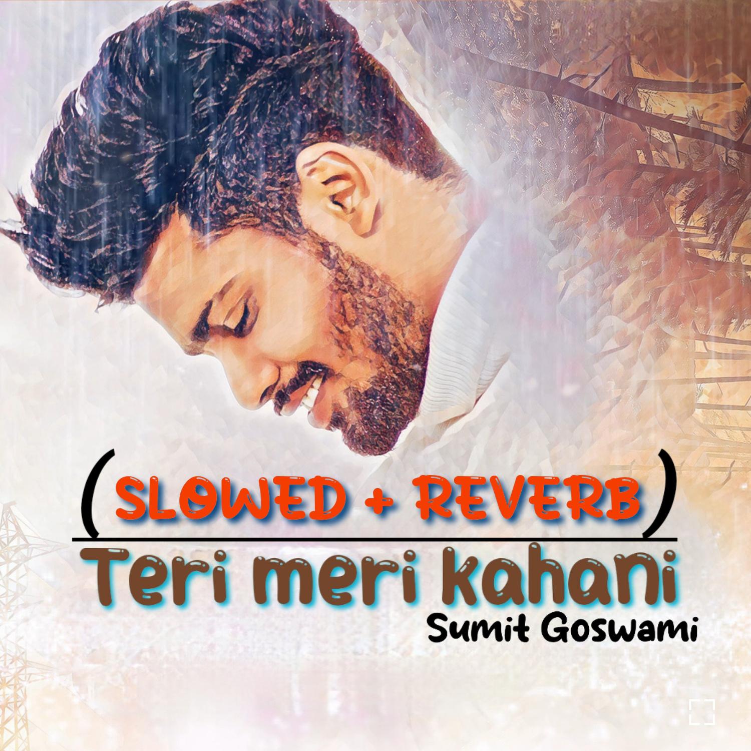 Постер альбома Teri Meri Kahani