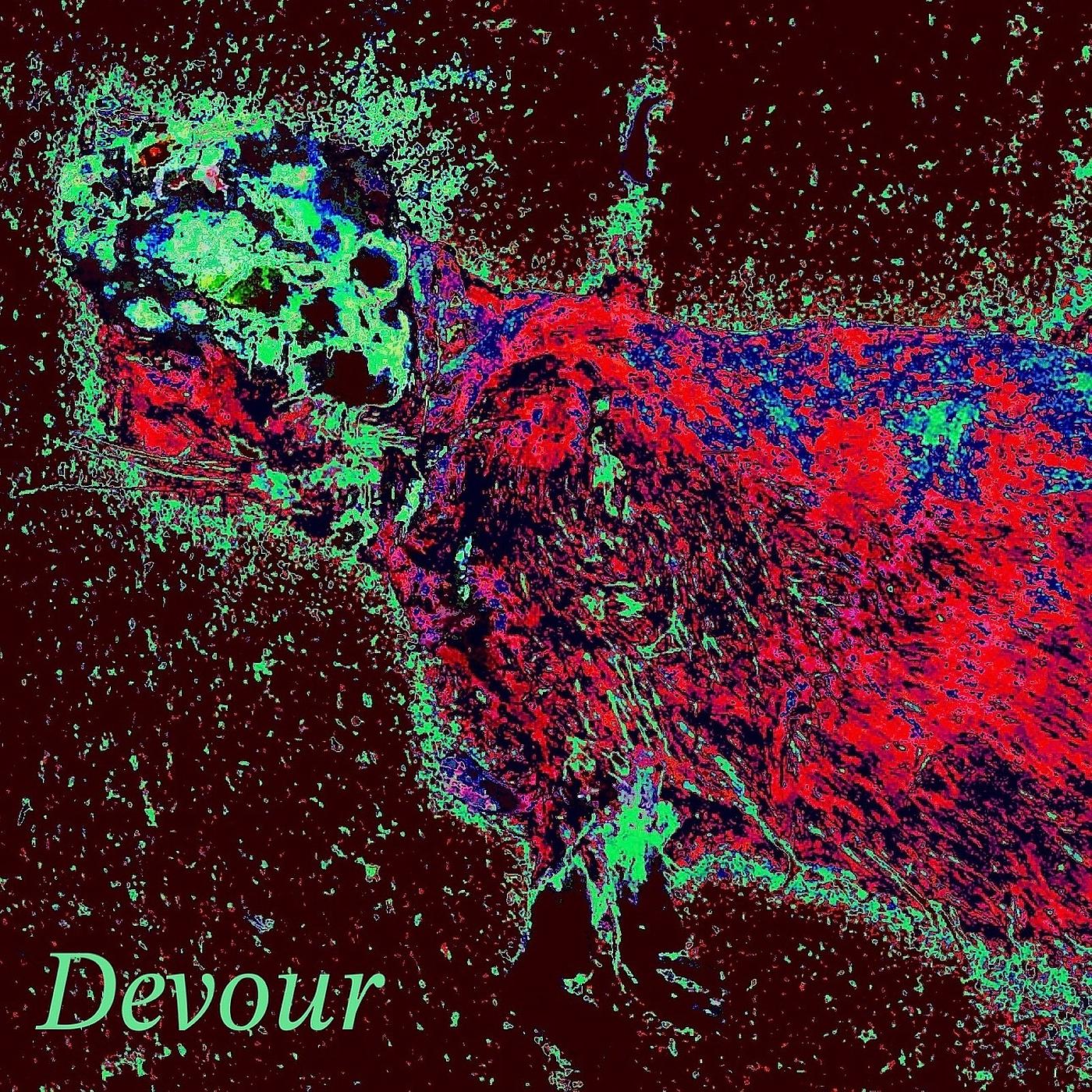 Постер альбома Devour
