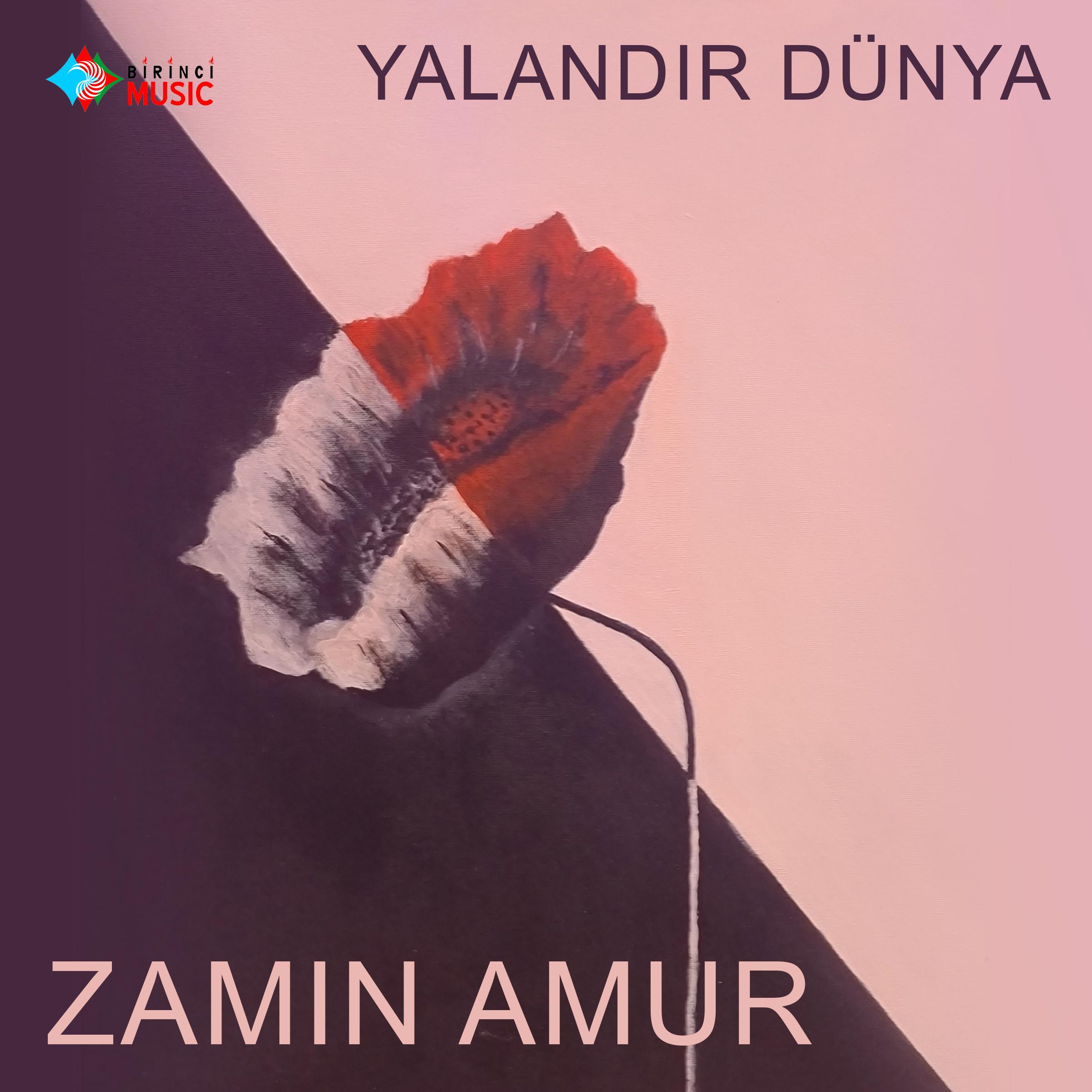 Постер альбома Yalandir Dünya