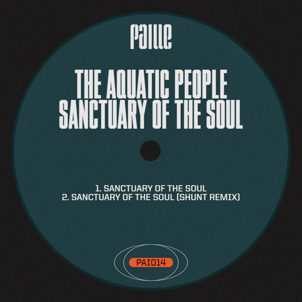 Постер альбома Sanctuary Of The Soul