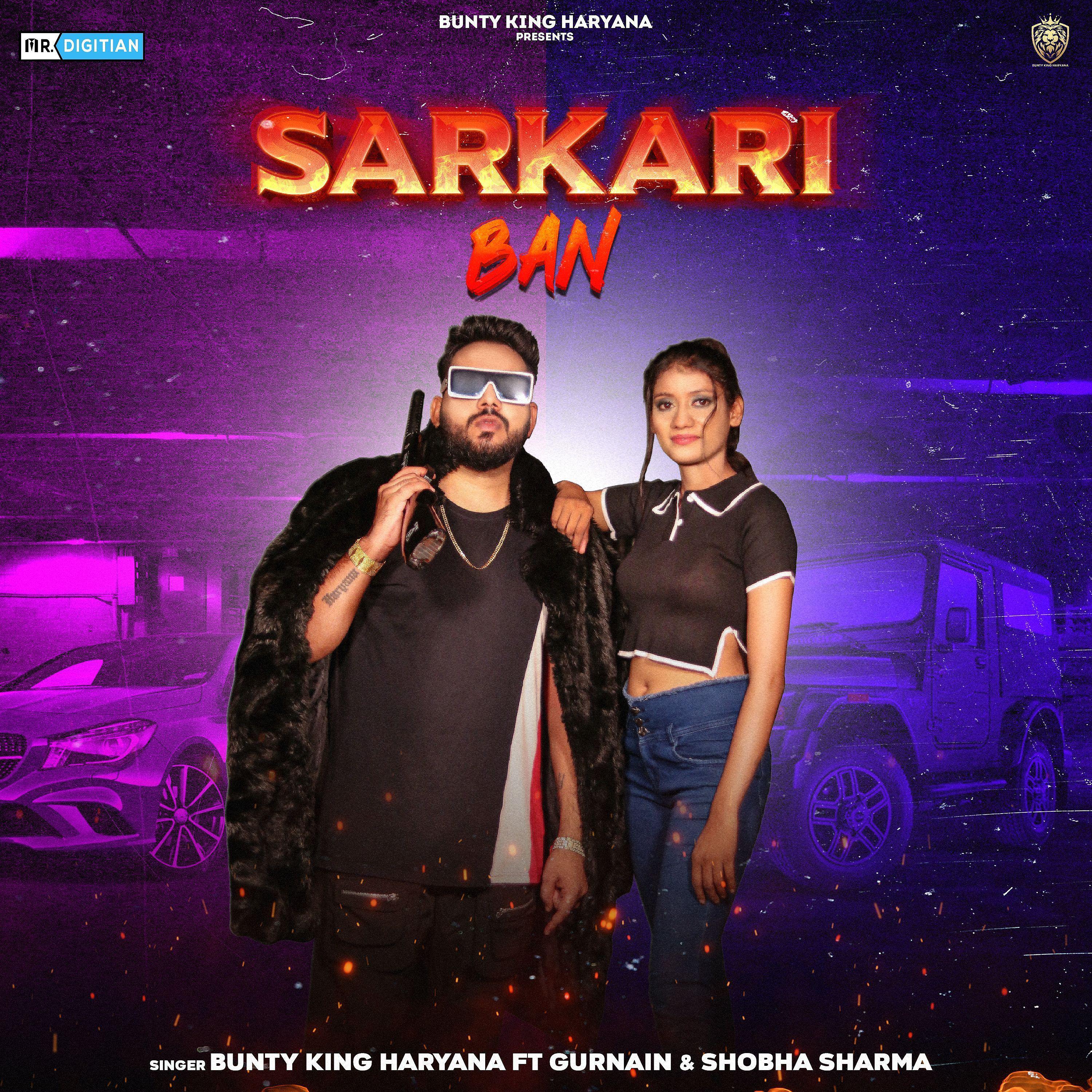 Постер альбома Sarkari Ban