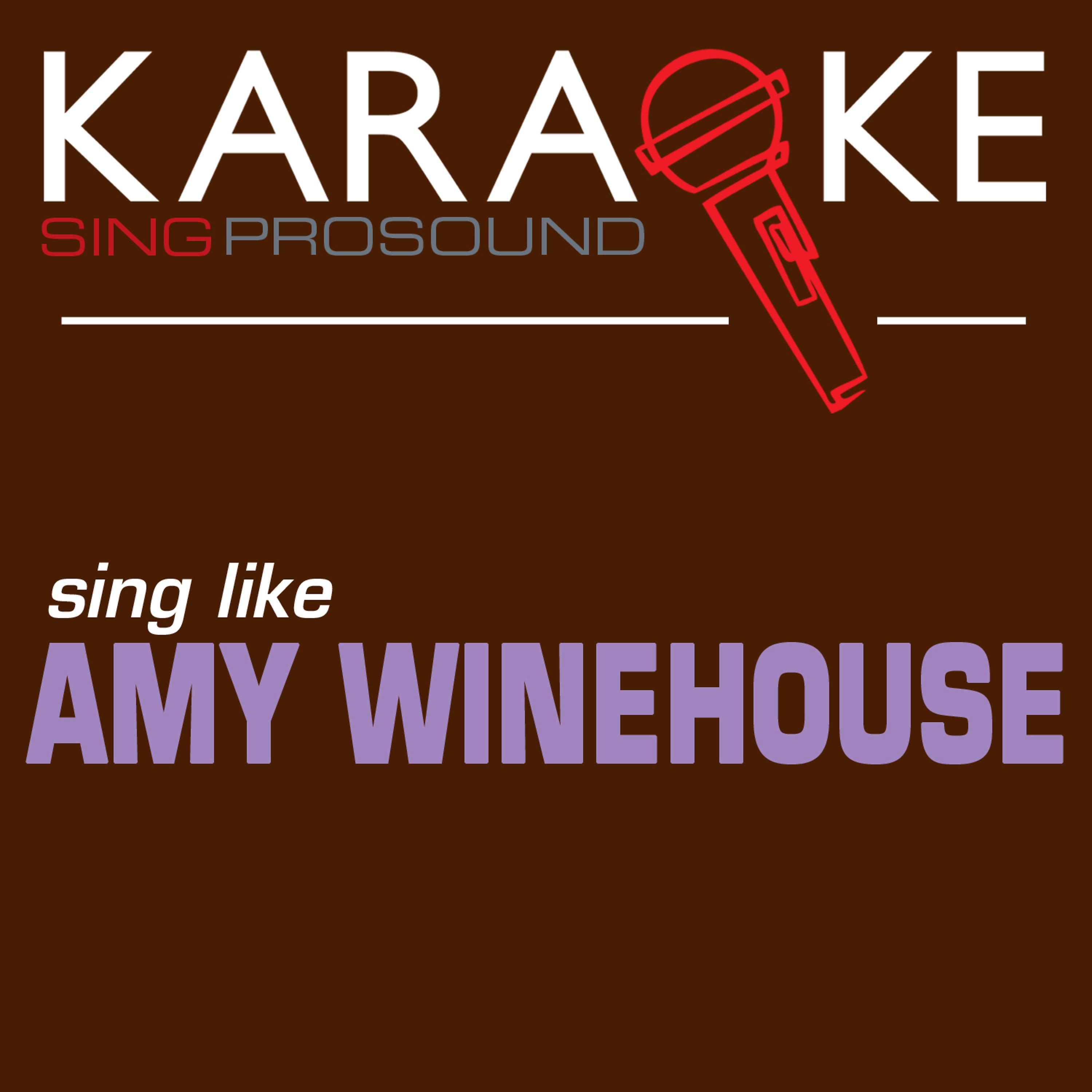 Постер альбома Karaoke in the Style of Amy Winehouse