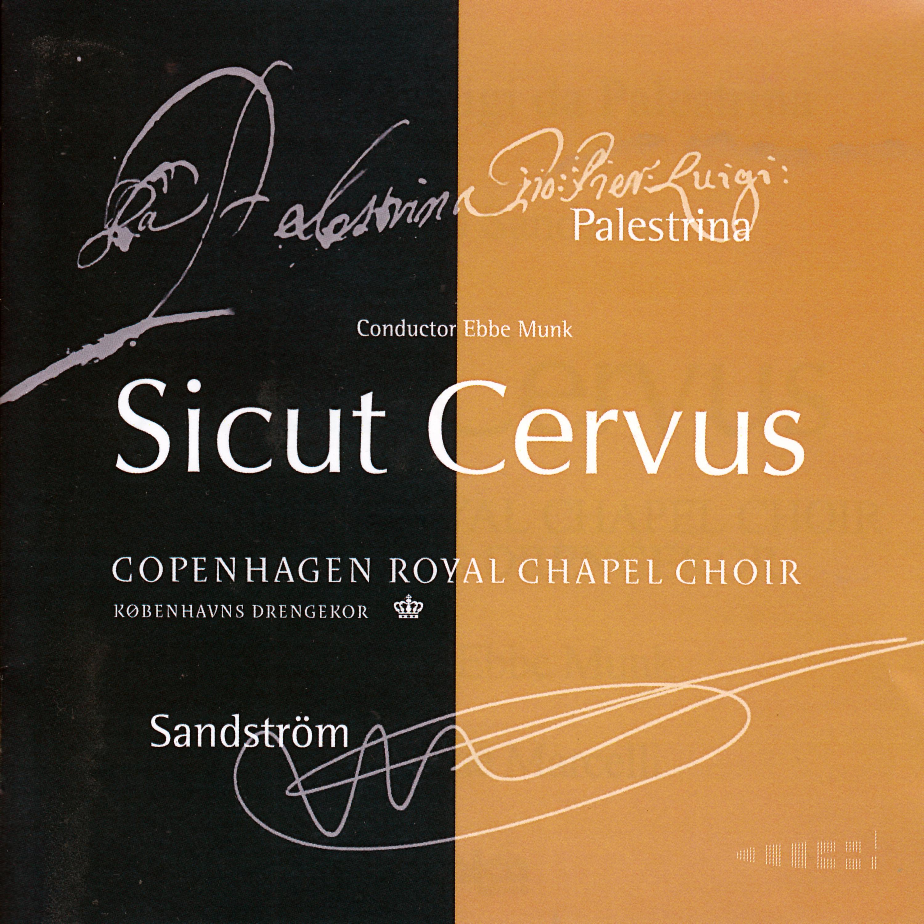 Постер альбома Sicut Cervus