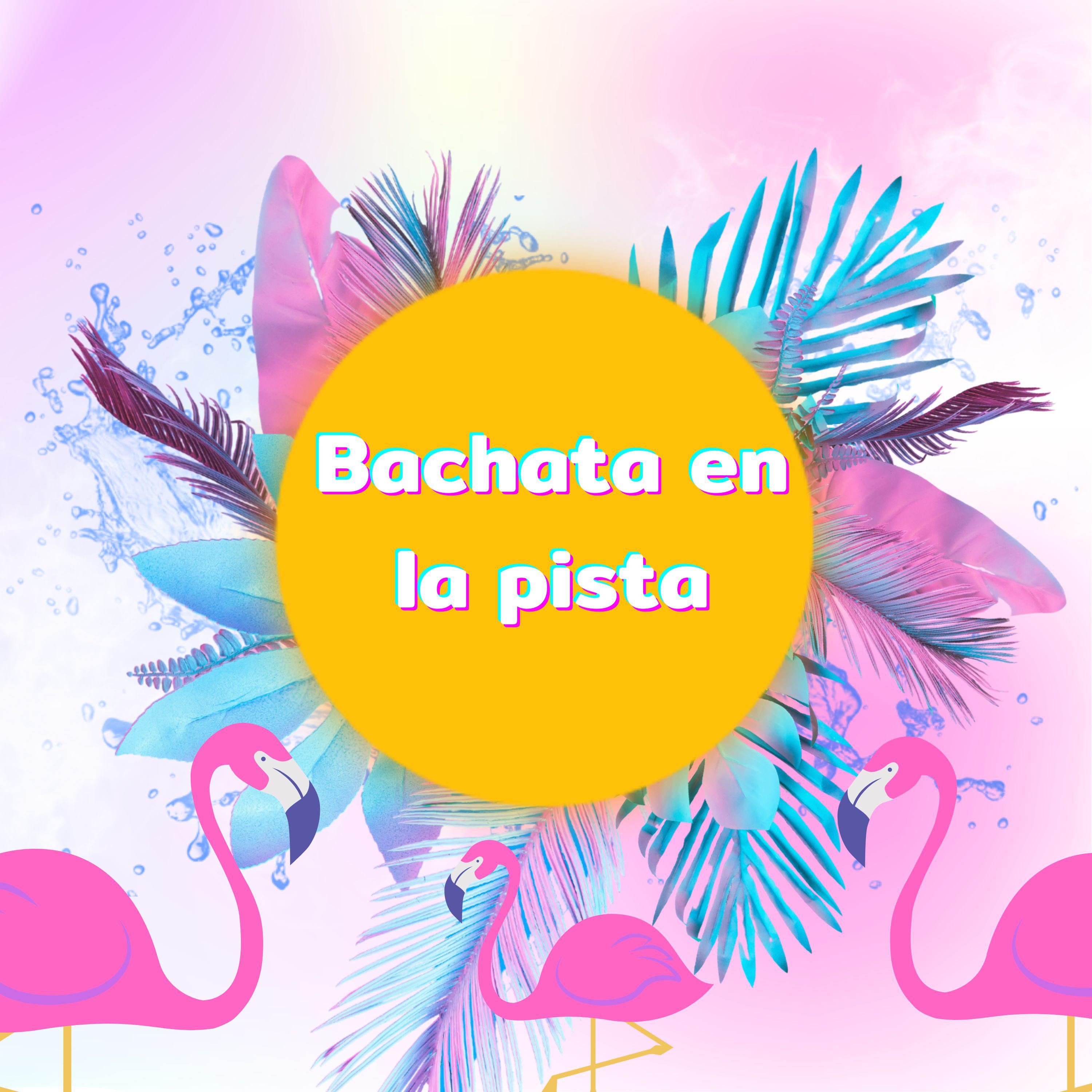 Постер альбома Bachata en la pista