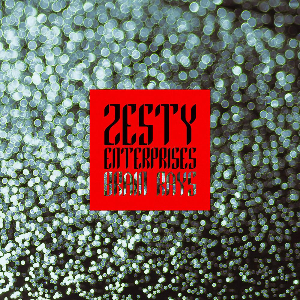 Постер альбома Zesty Enterprises