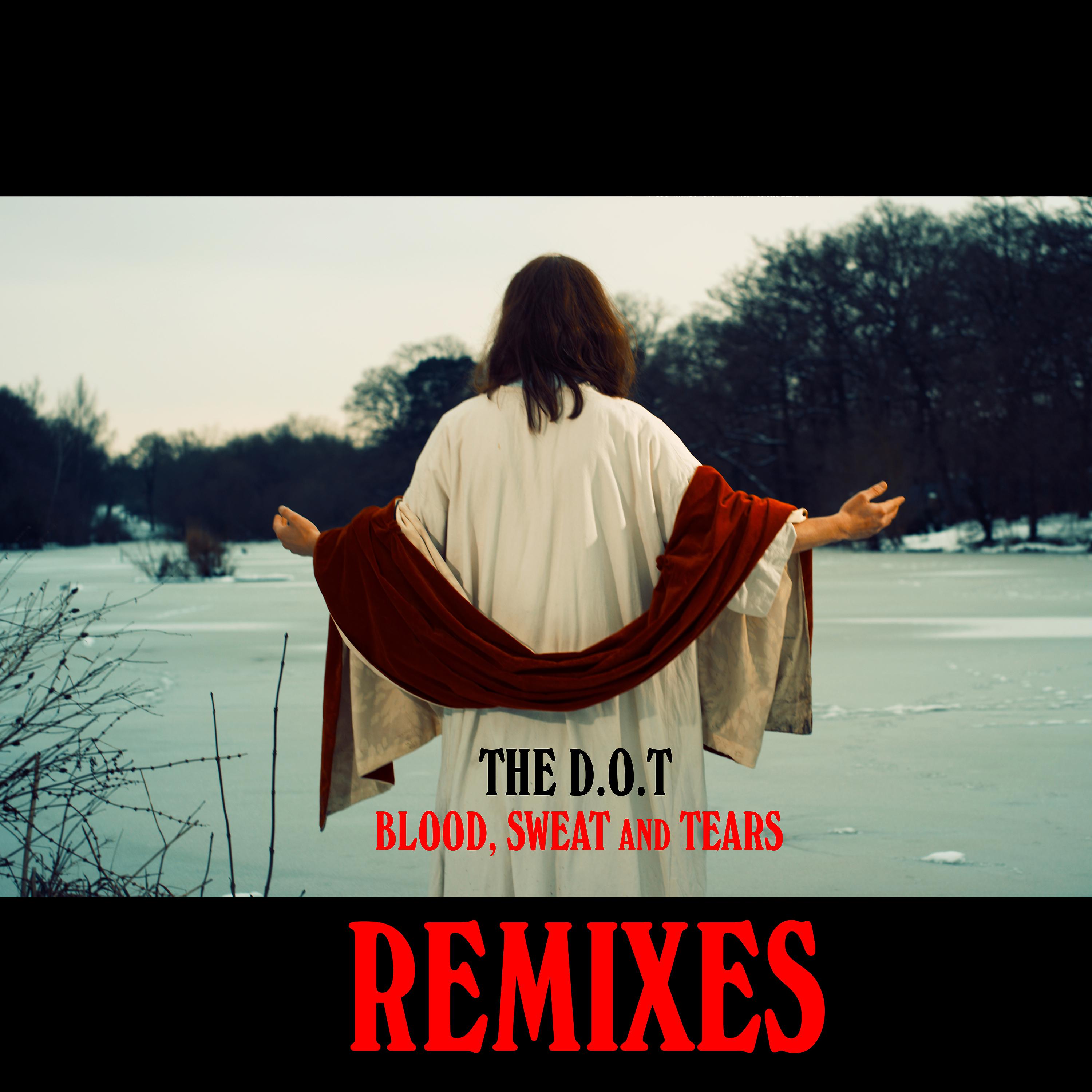 Постер альбома Blood, Sweat and Tears (Remixes)