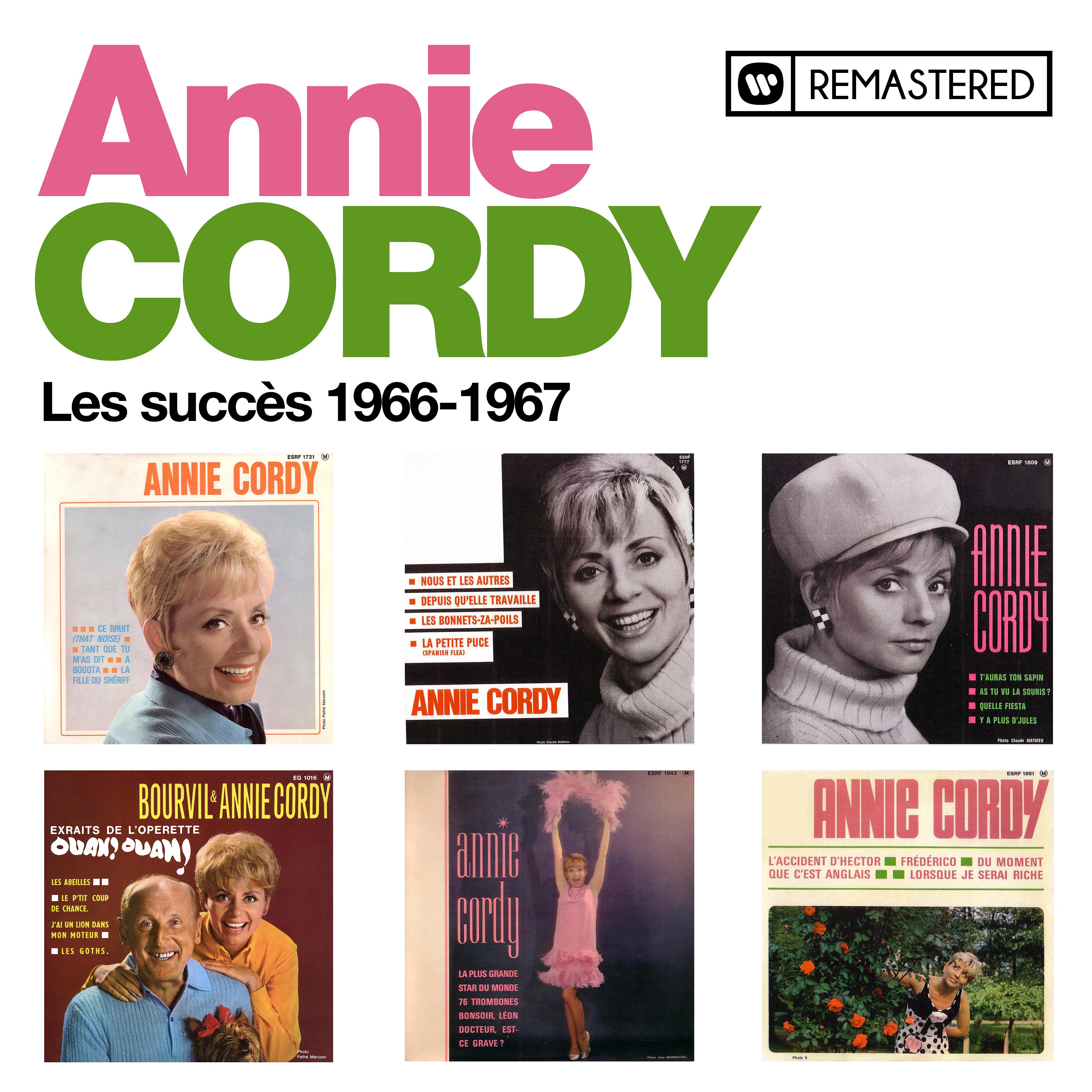 Постер альбома Les succès 1966-1967 (Remasterisé en 2020)