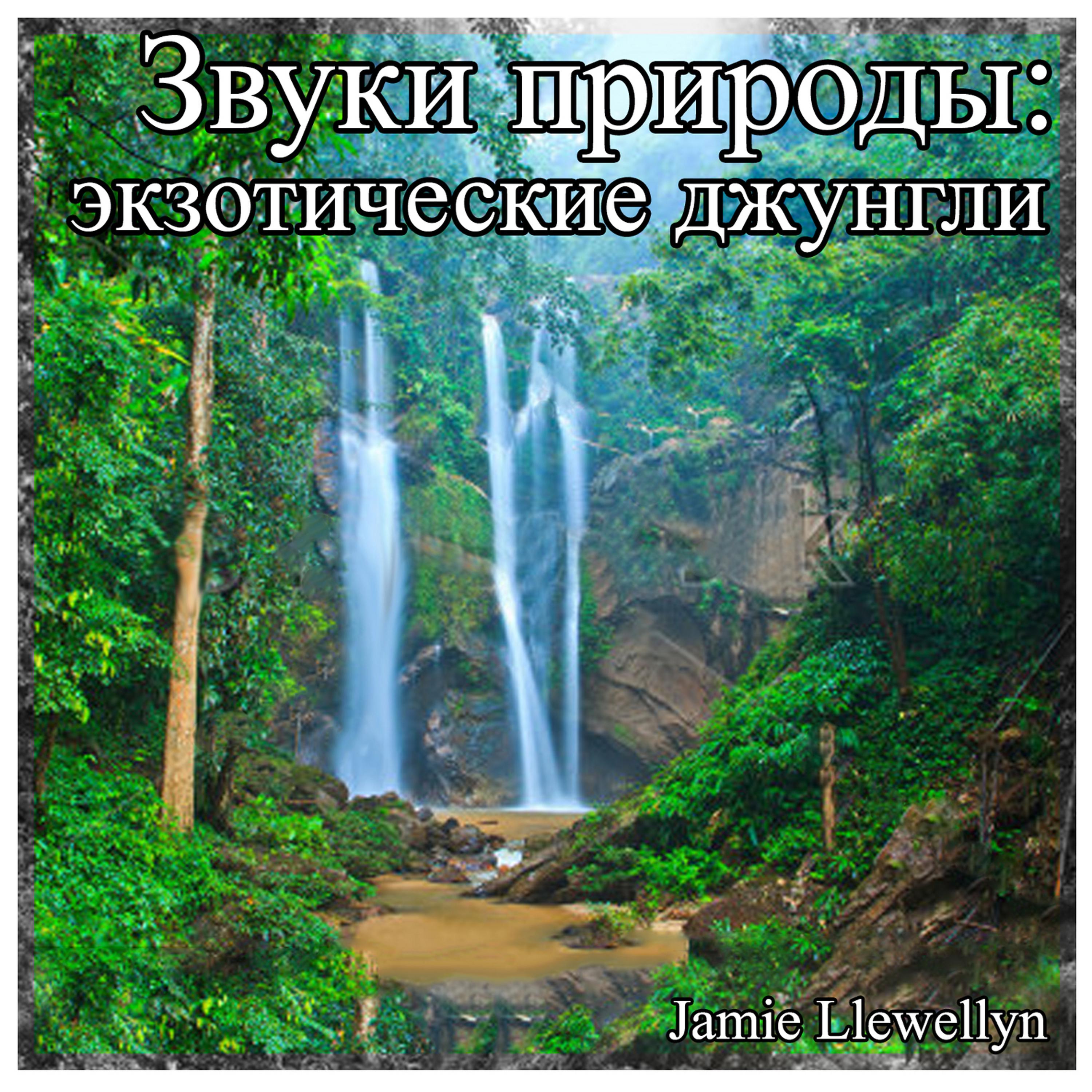 Постер альбома Звуки природы: экзотические джунгли