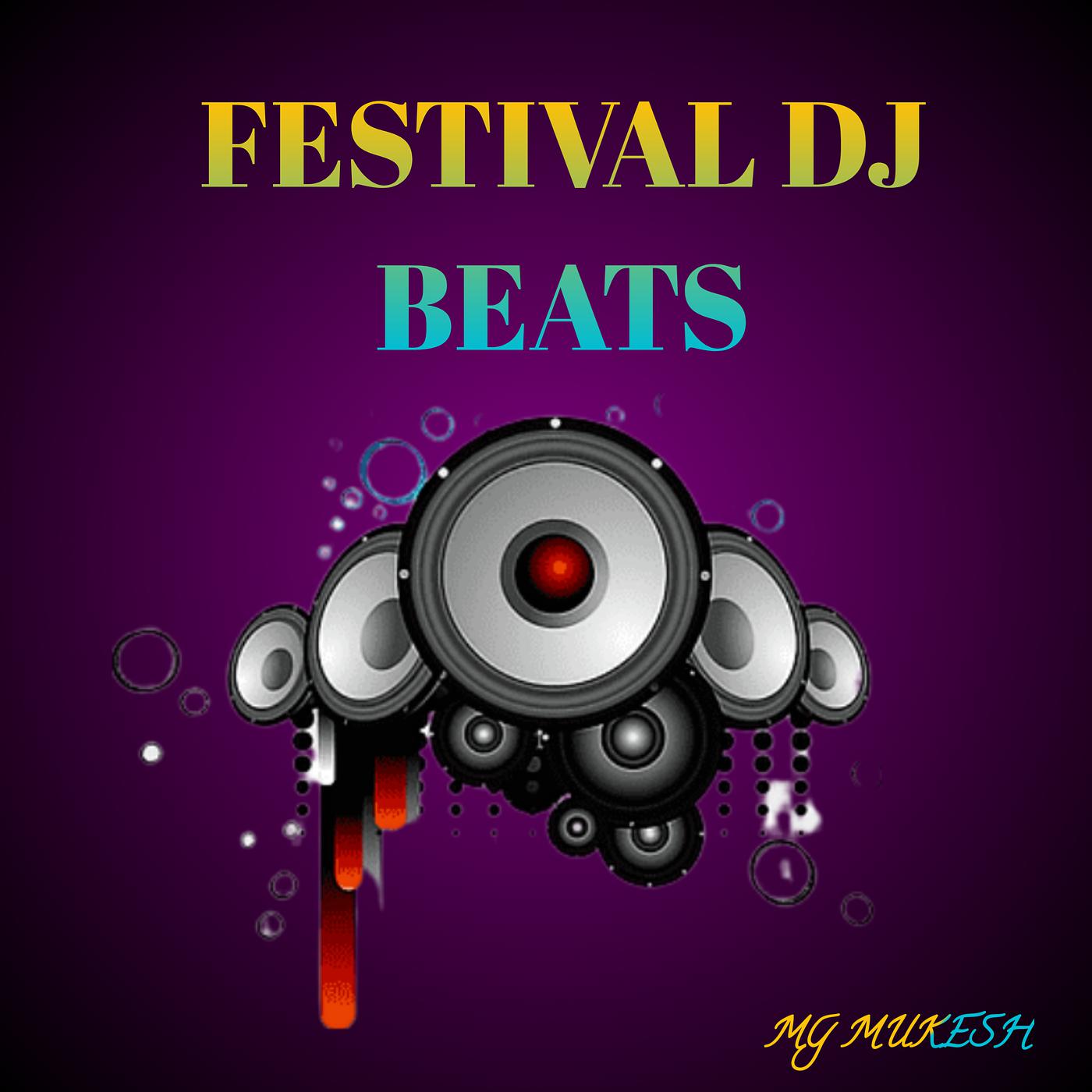 Постер альбома Festival DJ Beats