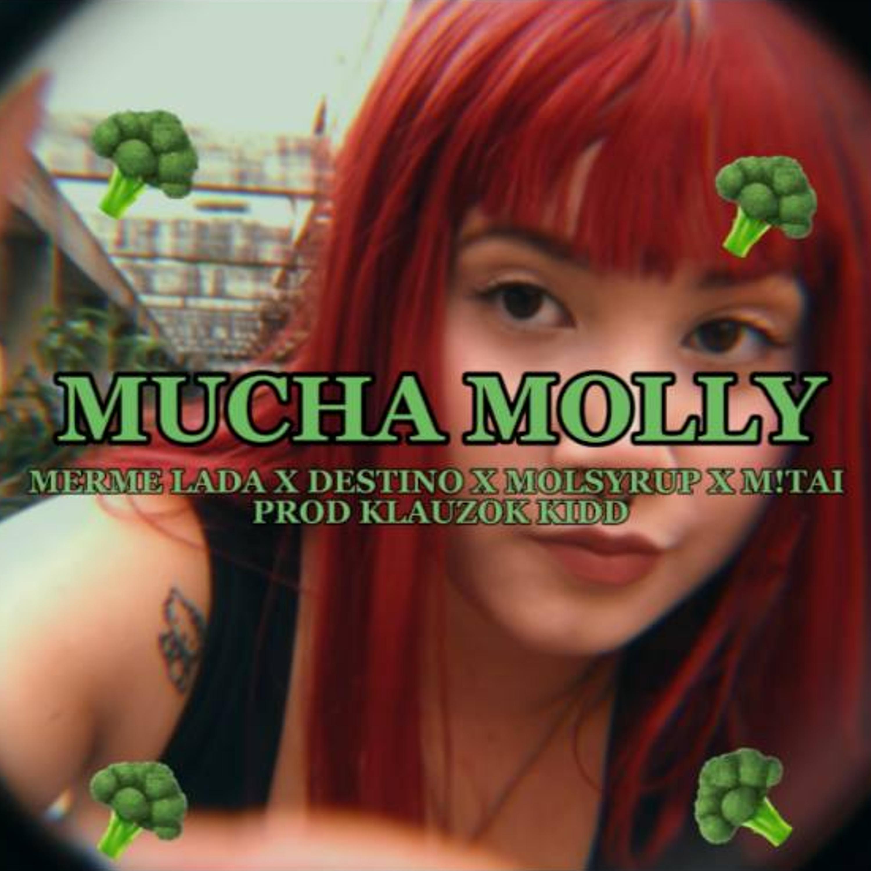 Постер альбома Mucha Molly