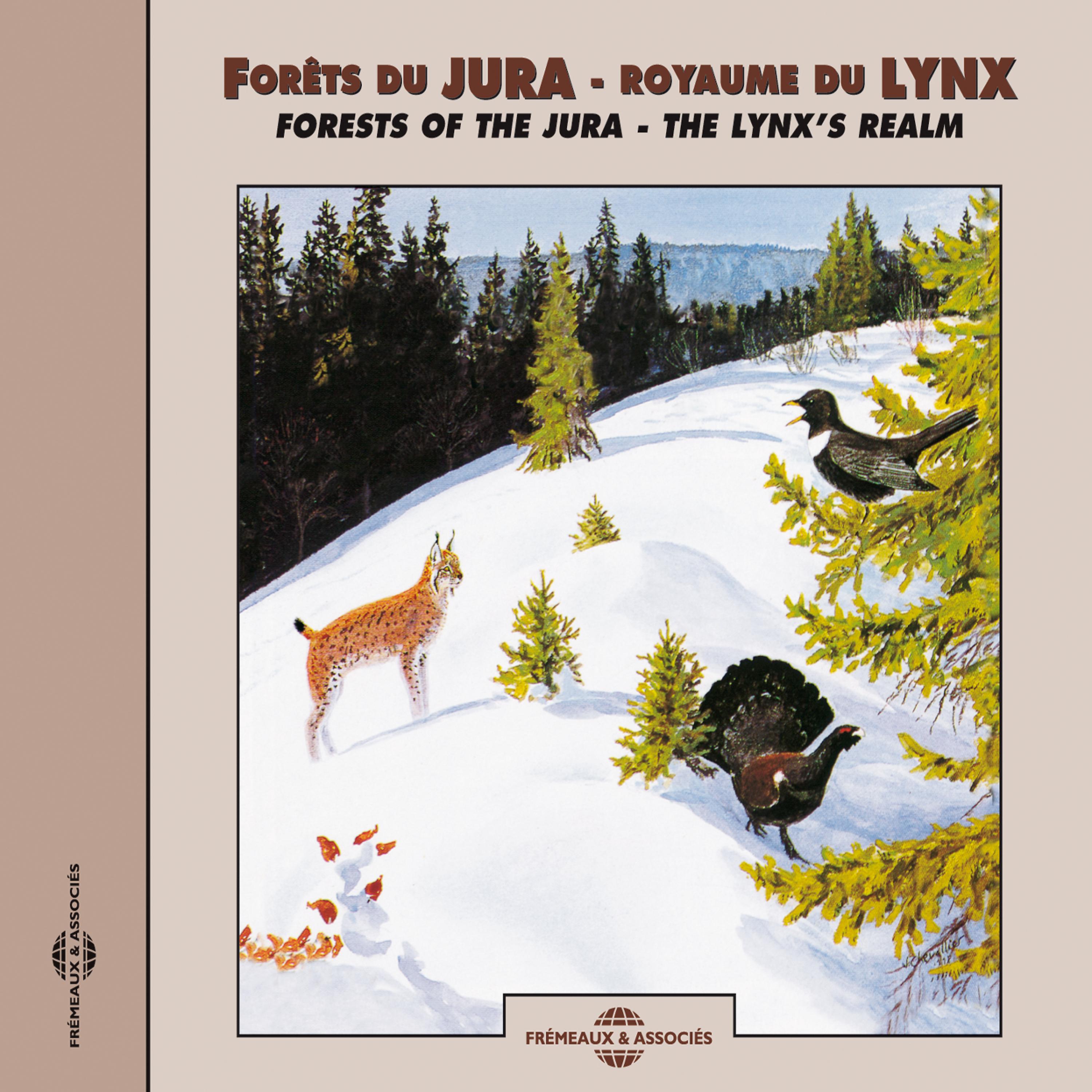 Постер альбома Forêts Du Jura - Royaume Du Lynx