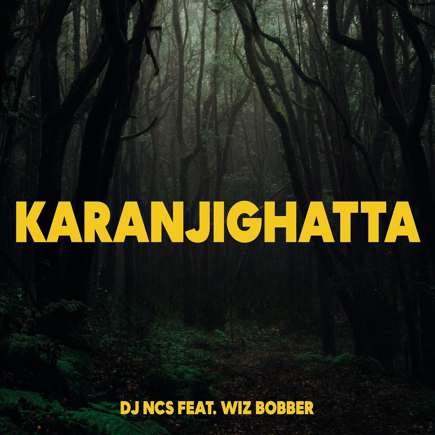 Постер альбома Karanjighatta