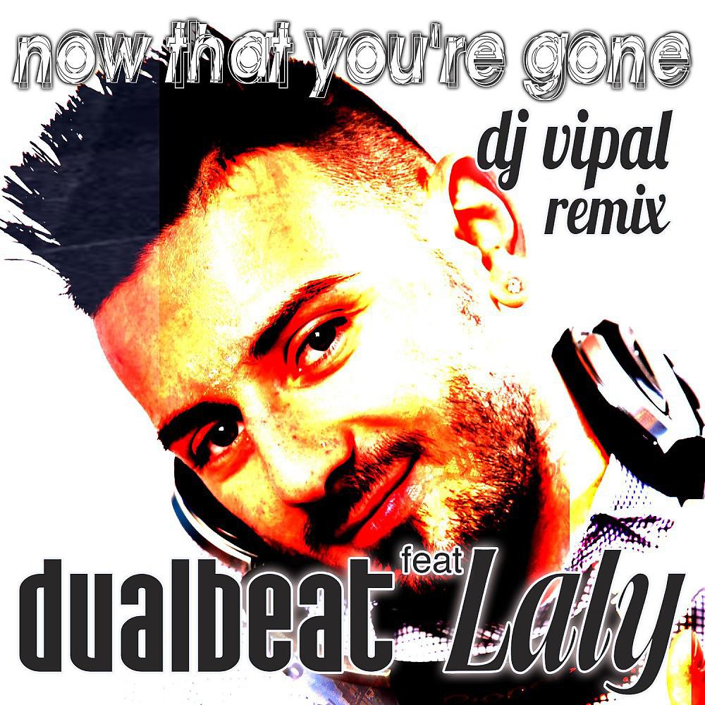 Постер альбома Now That You're Gone (DJ Vipal Remix)