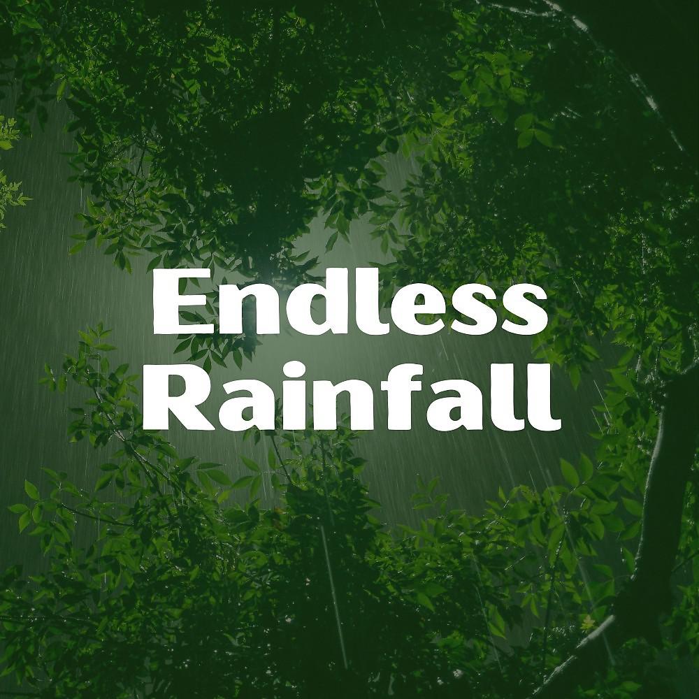 Постер альбома Endless Rainfall