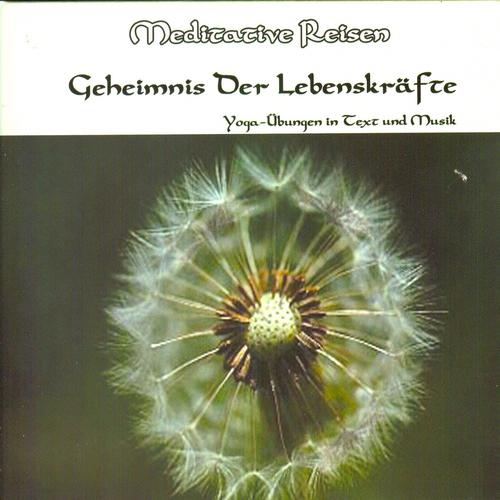 Постер альбома Meditative Reisen: Geheimnis Der Lebenskraefte