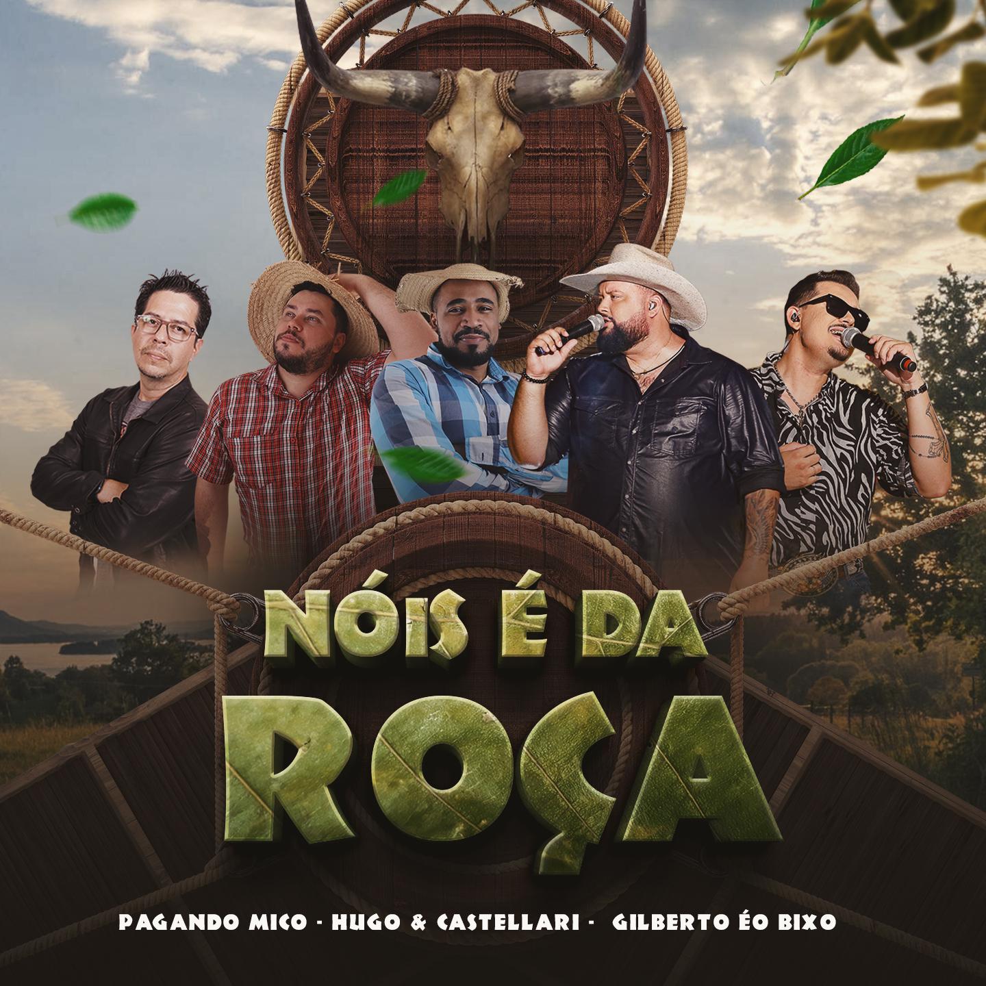 Постер альбома Nois é da Roça