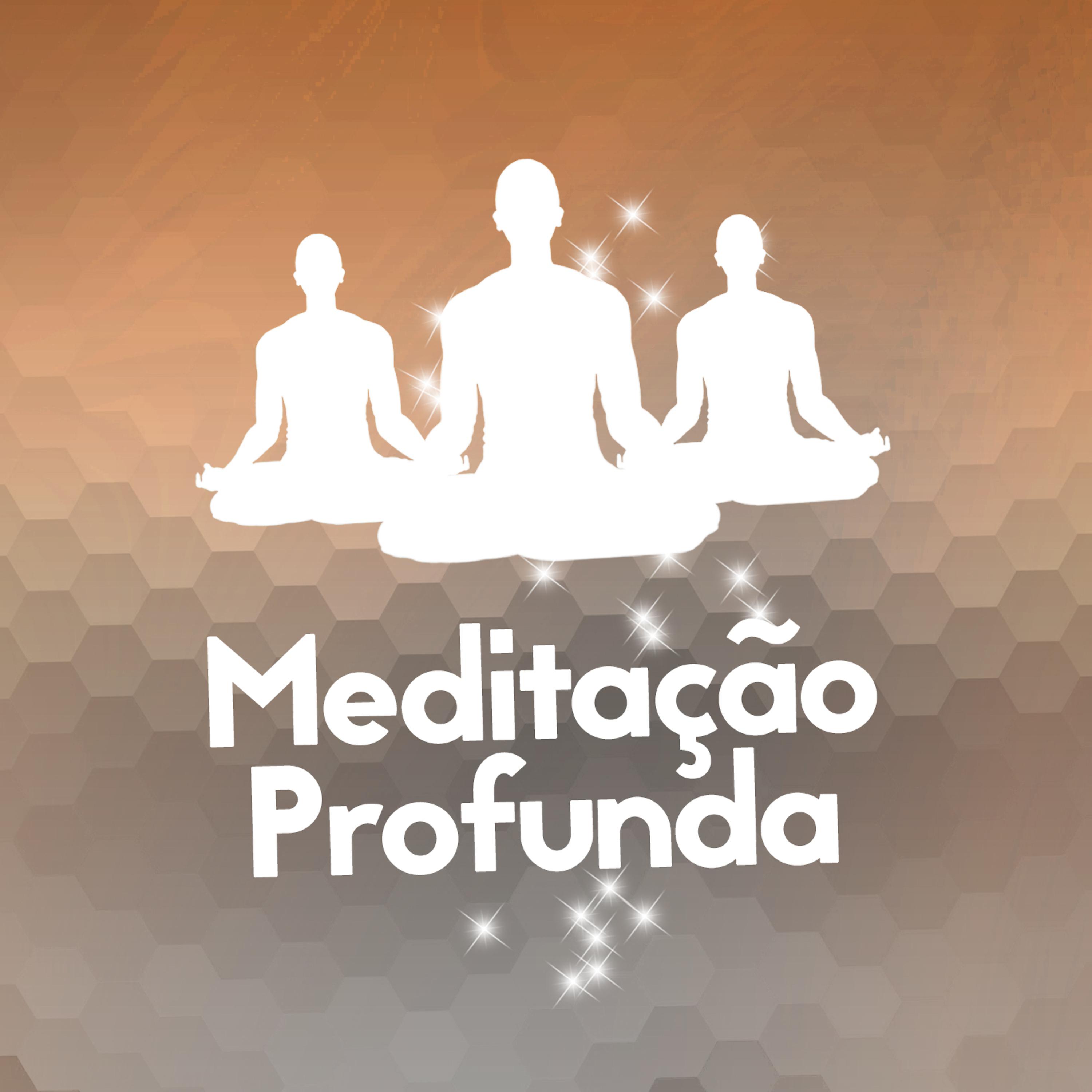 Постер альбома Meditação Profunda