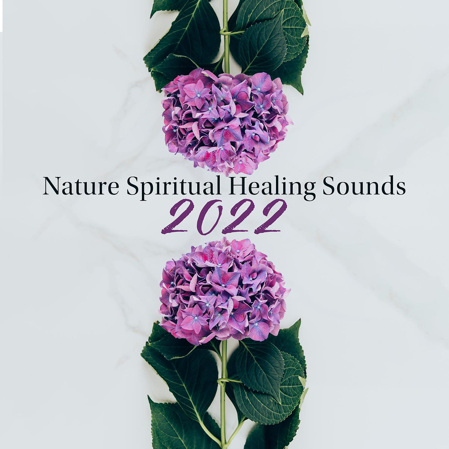 Постер альбома Nature Spiritual Healing Sounds 2022: Ambient Nature and Celtic Melodies for Relaxation, Rest, Soothe, Calm Down, Regain Harmony in You, Fresh Music Compilation