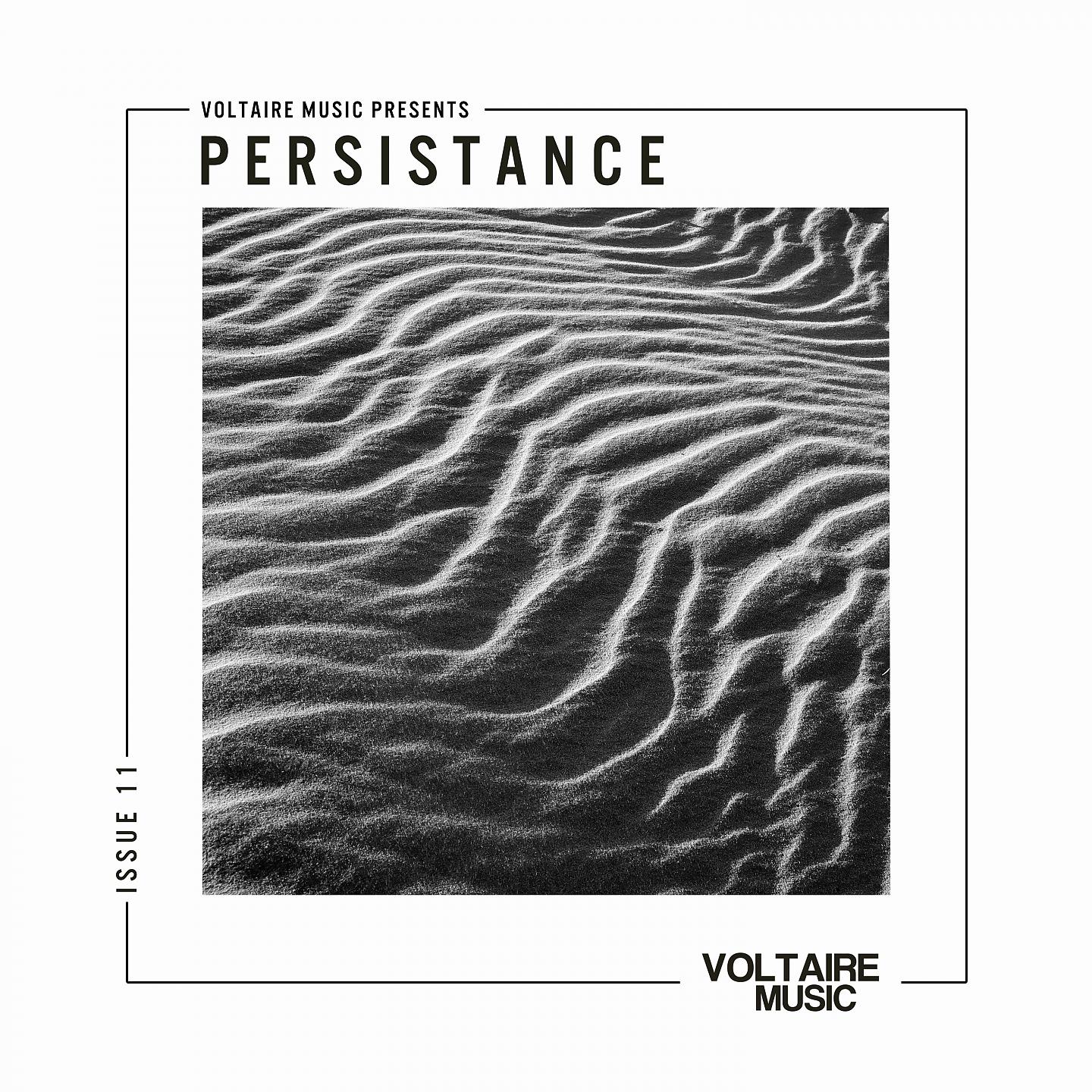 Постер альбома Voltaire Music pres. Persistence #11