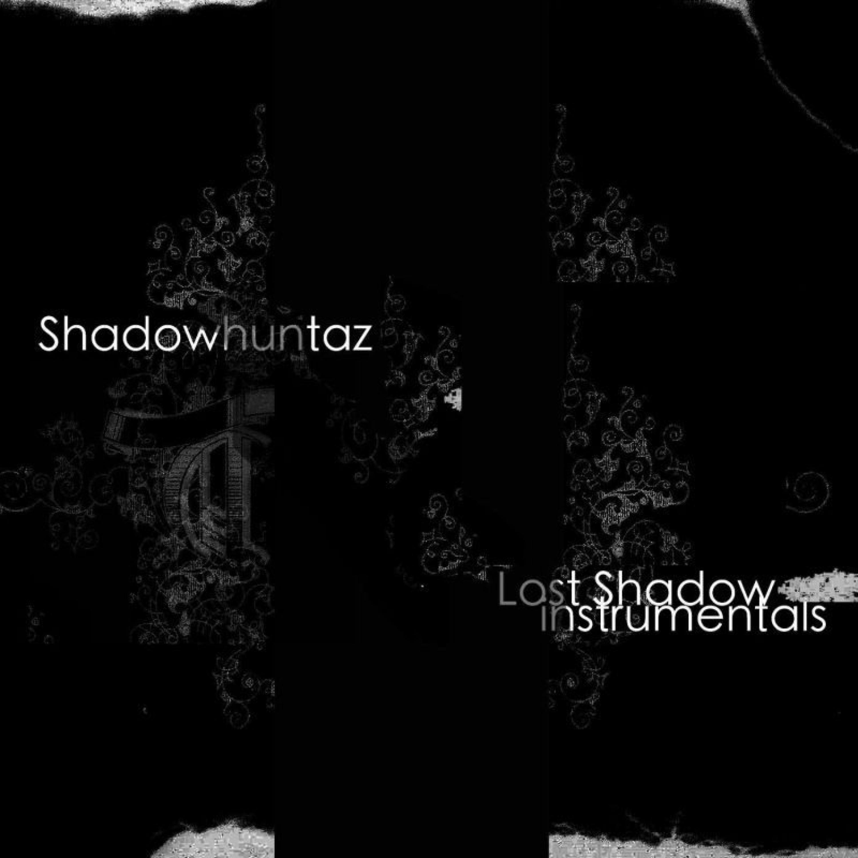 Постер альбома Lost Shadow Instrumentals