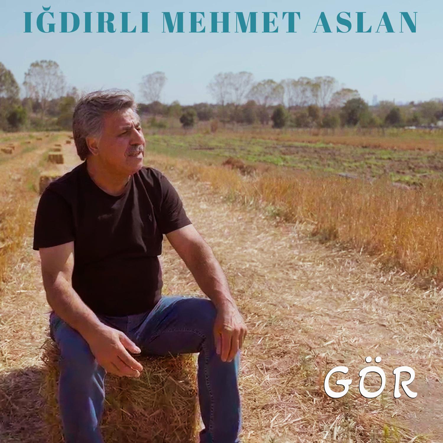 Постер альбома Gör