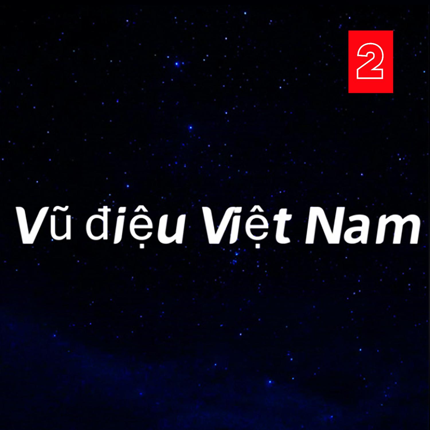 Постер альбома Vũ điệu Việt Nam 2