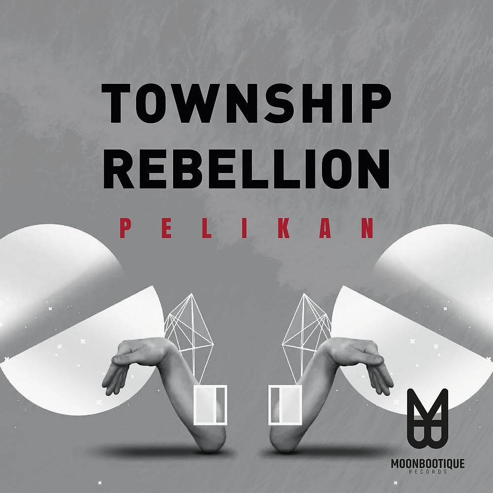 Постер альбома Pelikan