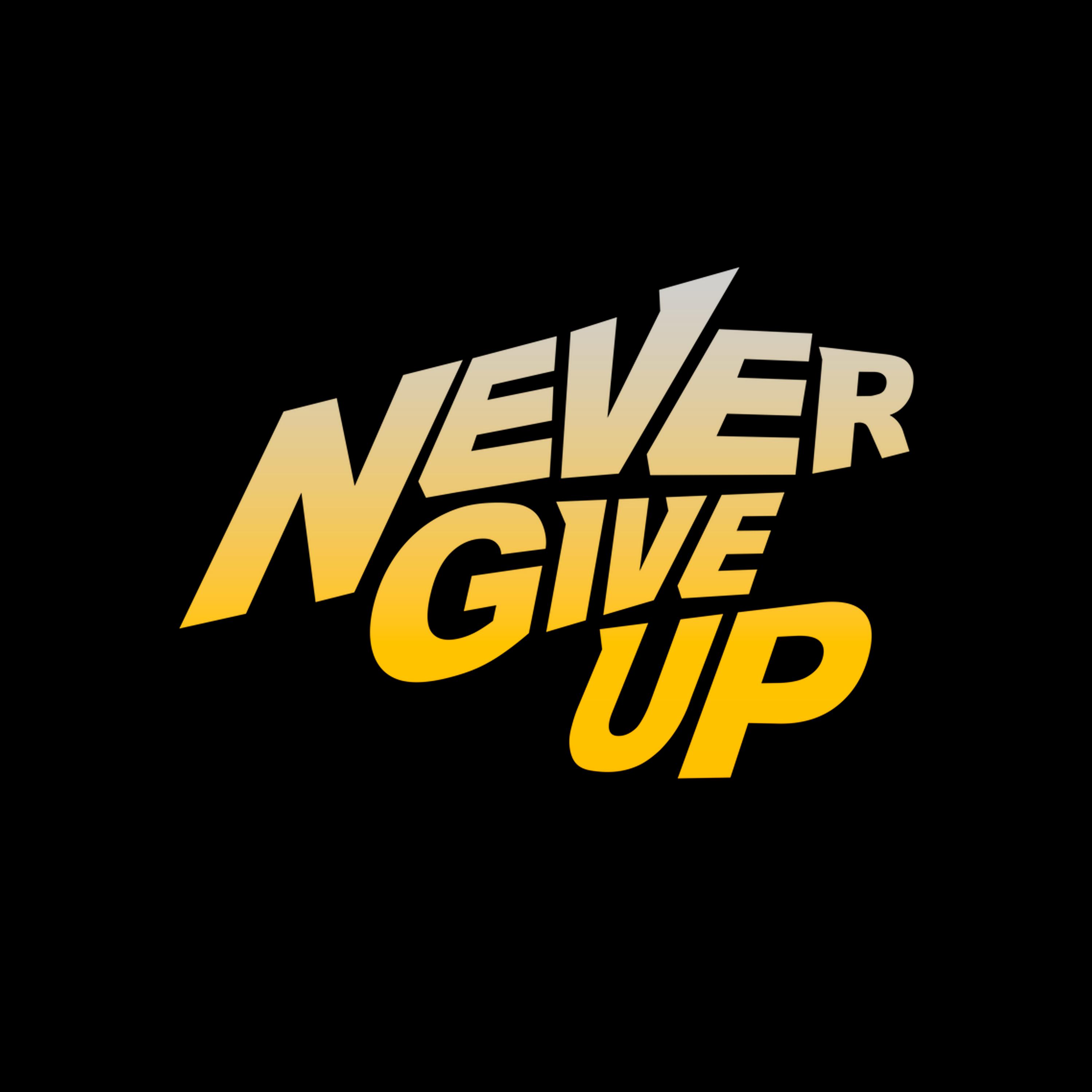Постер альбома NEVER GIVE UP