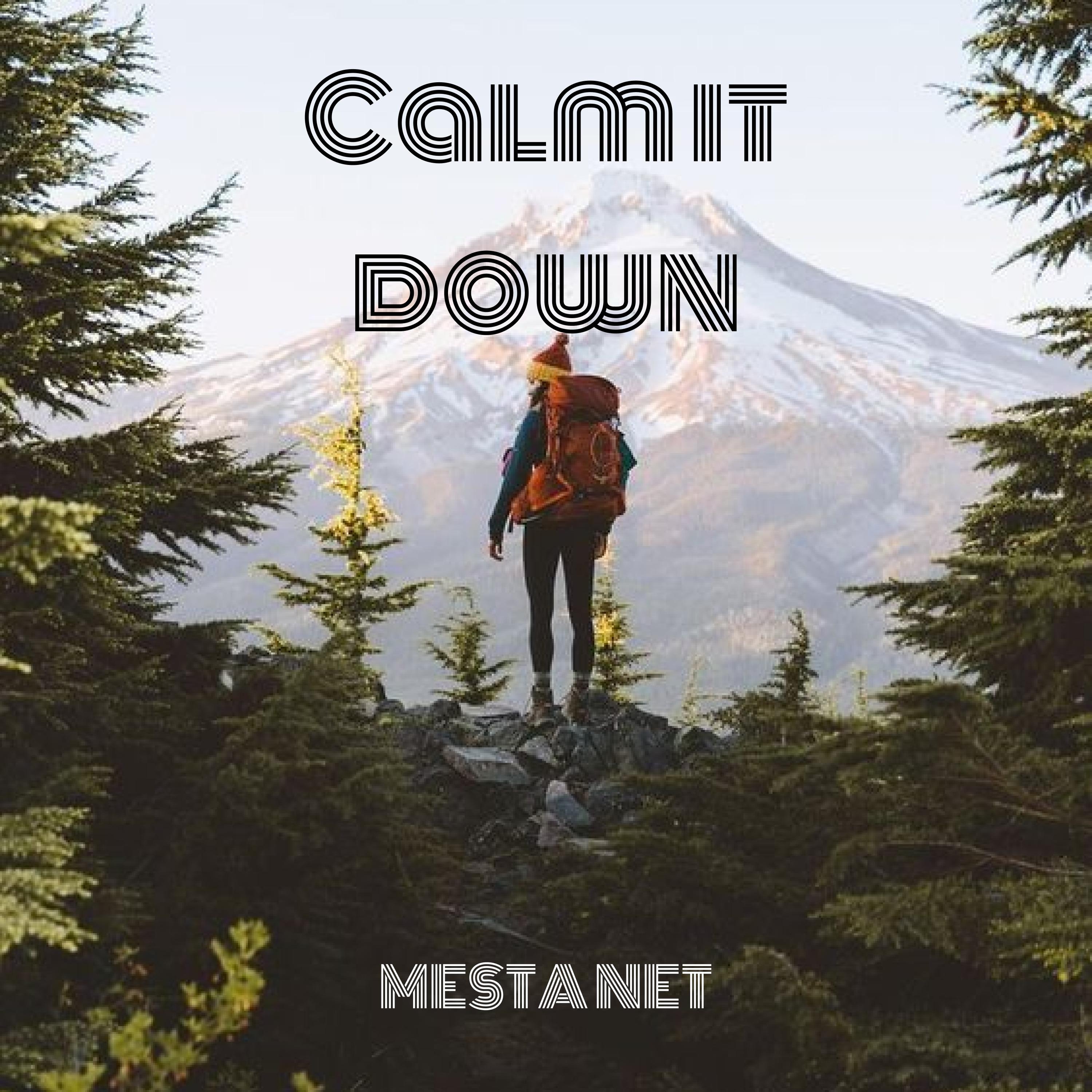 Постер альбома Calm It Down