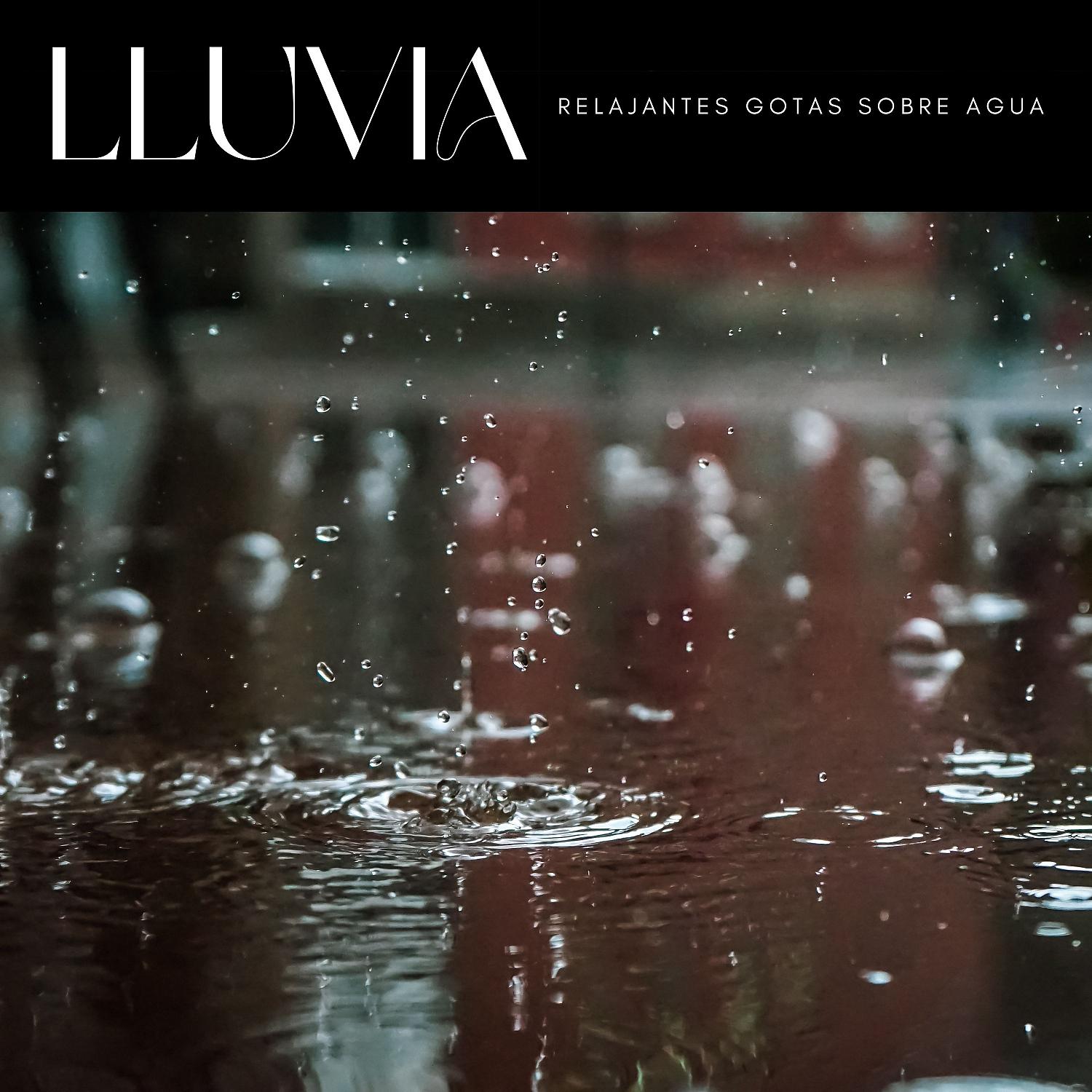 Постер альбома Lluvia: Relajantes Gotas Sobre Agua