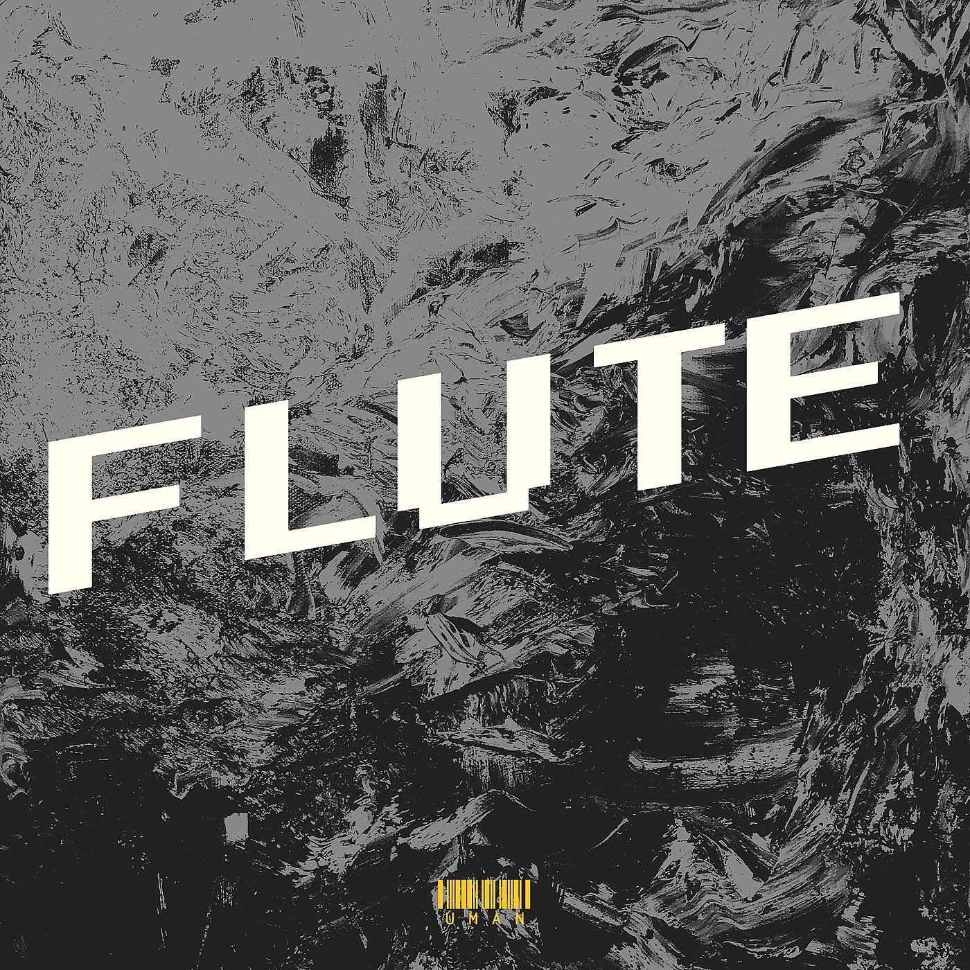 Постер альбома Flute