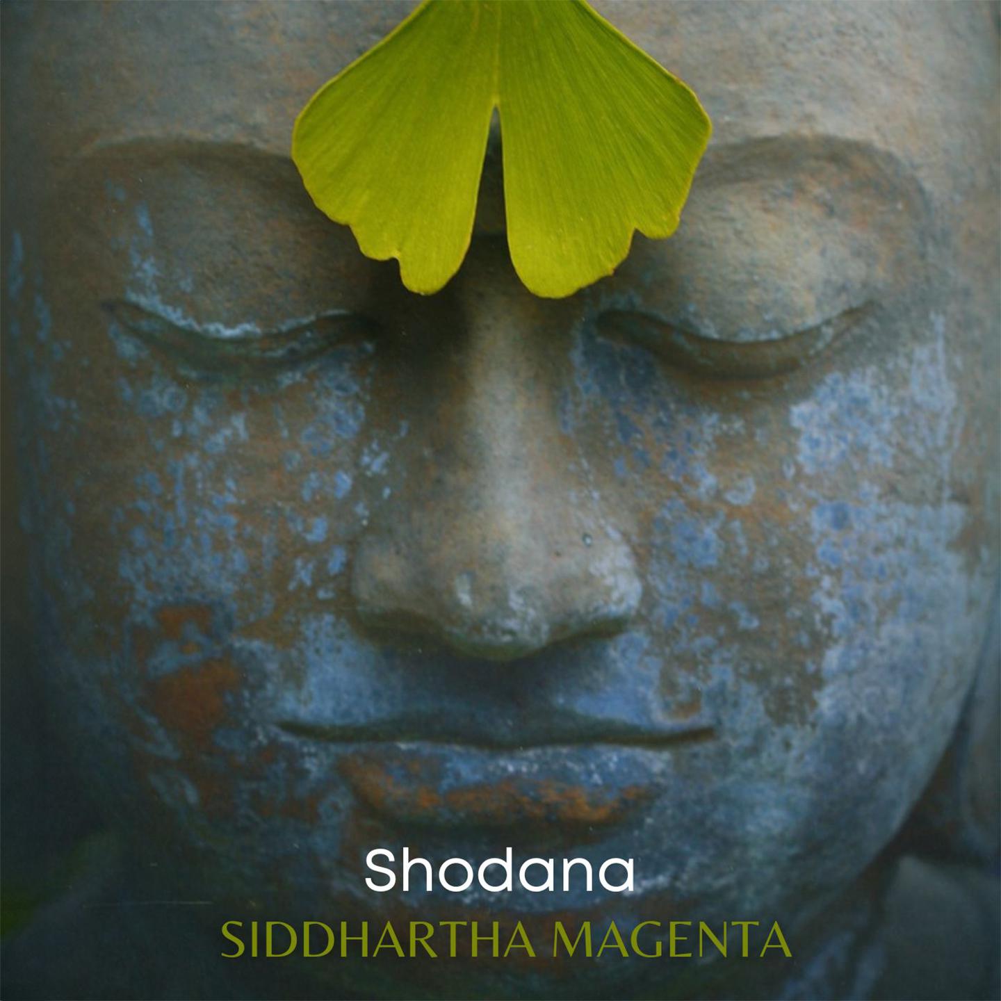Постер альбома Shodana