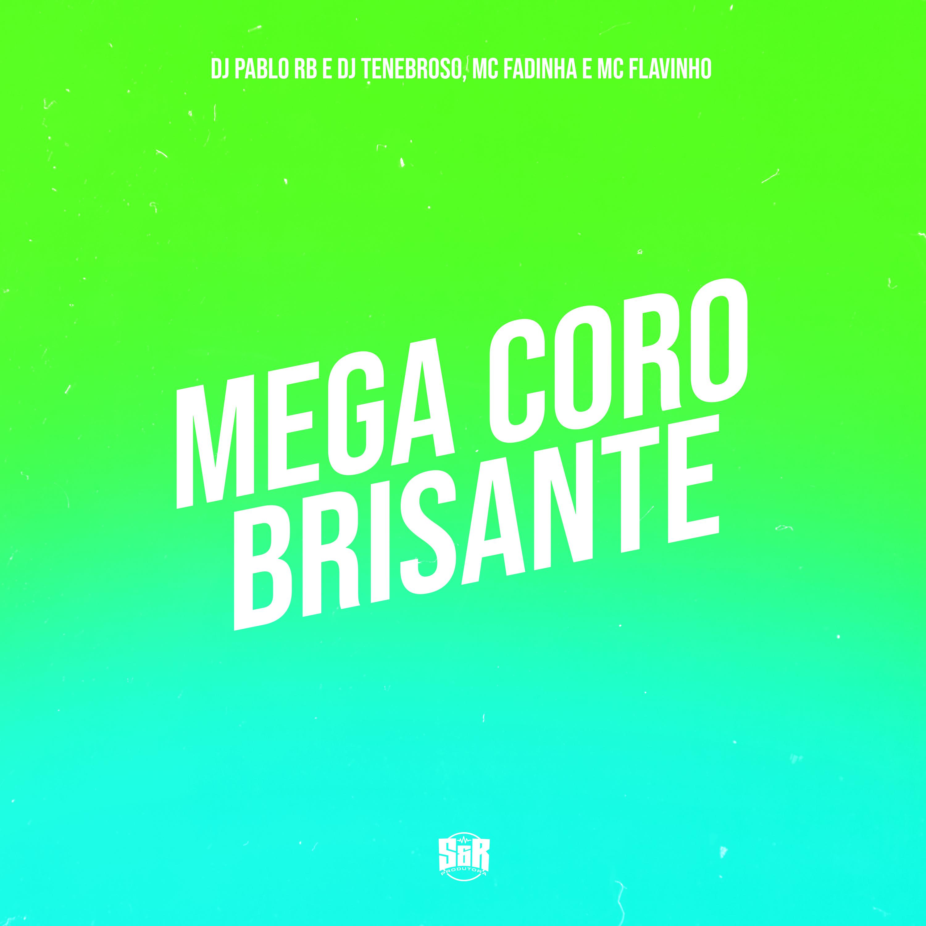 Постер альбома Mega Coro Brisante