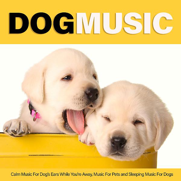 Постер альбома Dog Music: Calm Music For Dog’s Ears While You’re Away, Music For Pets and Sleeping Music For Dogs