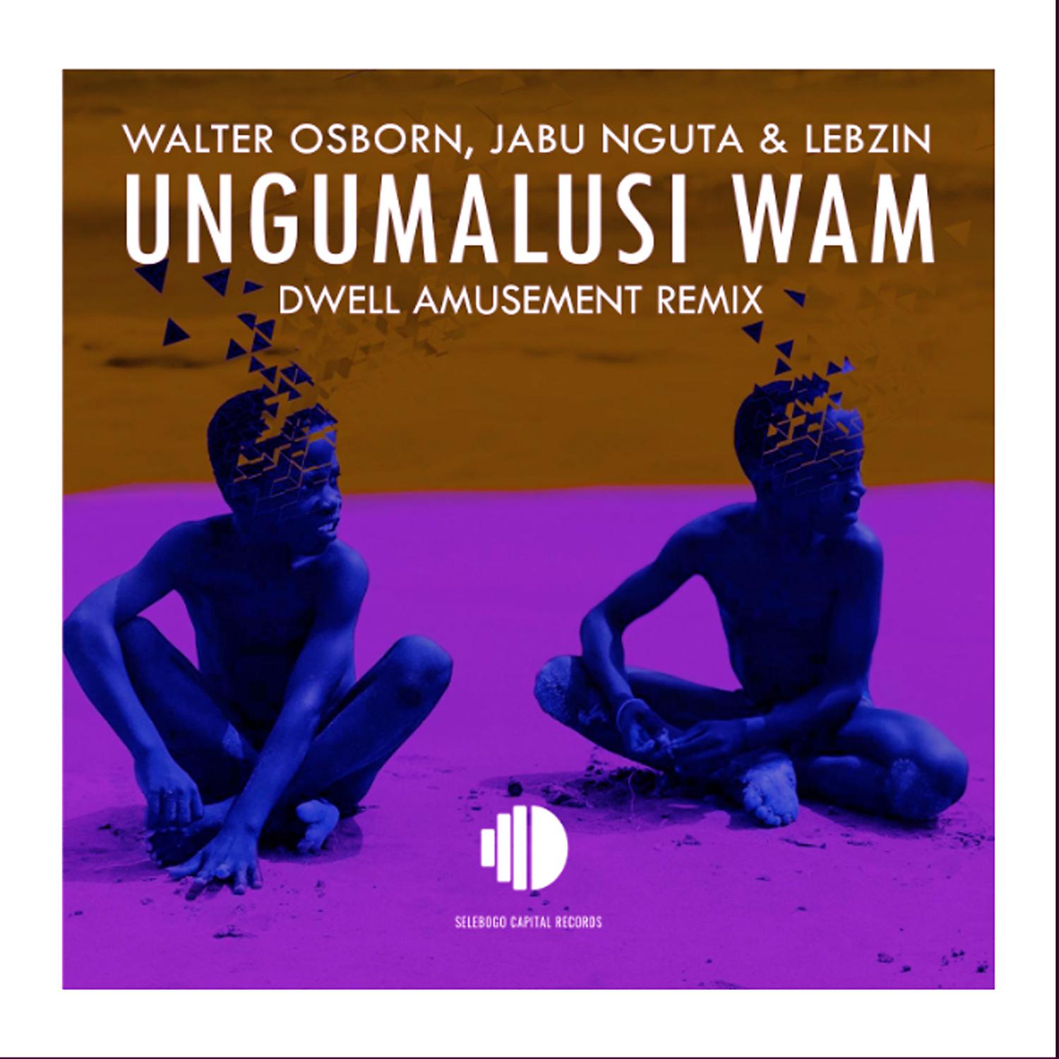 Постер альбома Ungumalusi Wam (Dwell Amusement Remix)