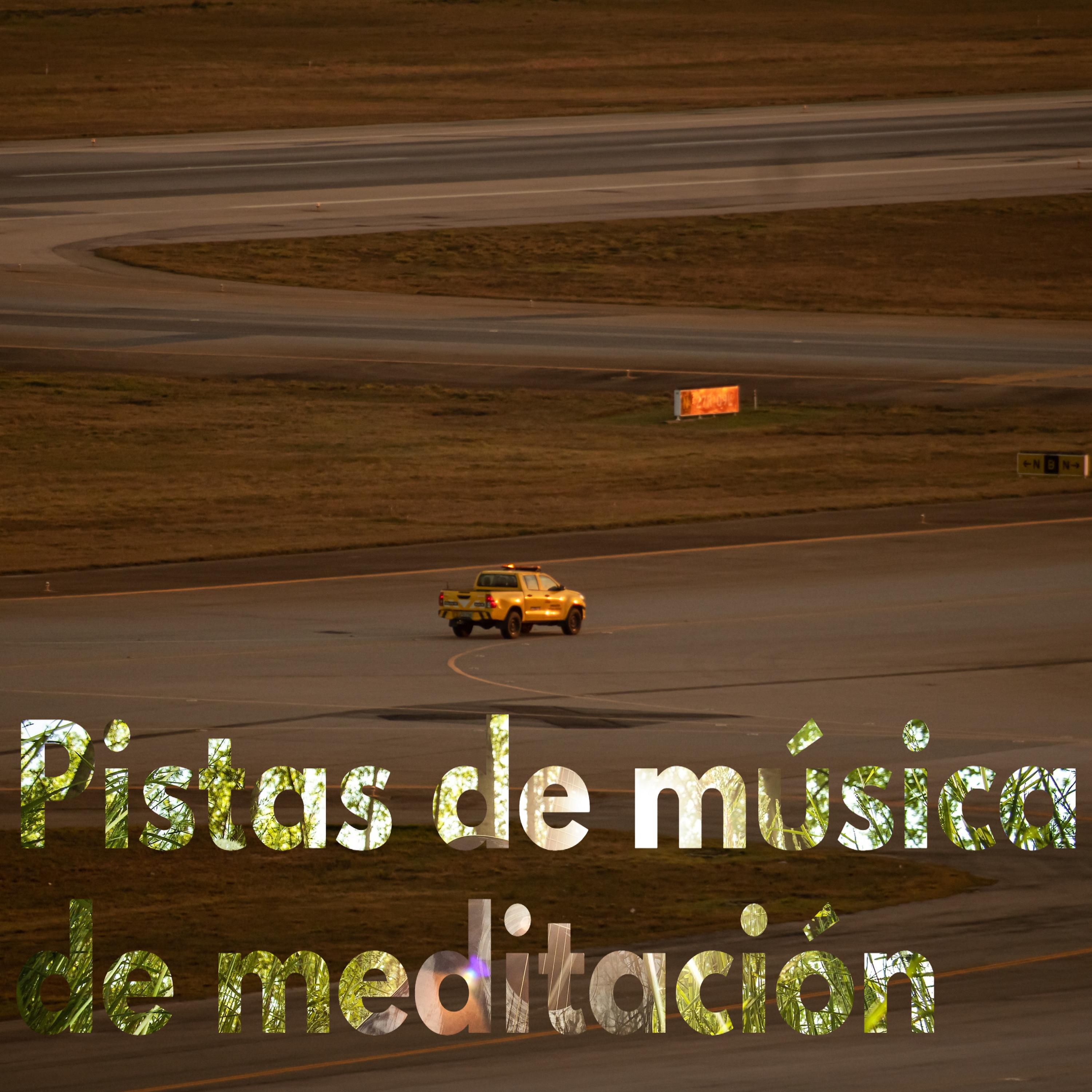 Постер альбома Pistas de música de meditación